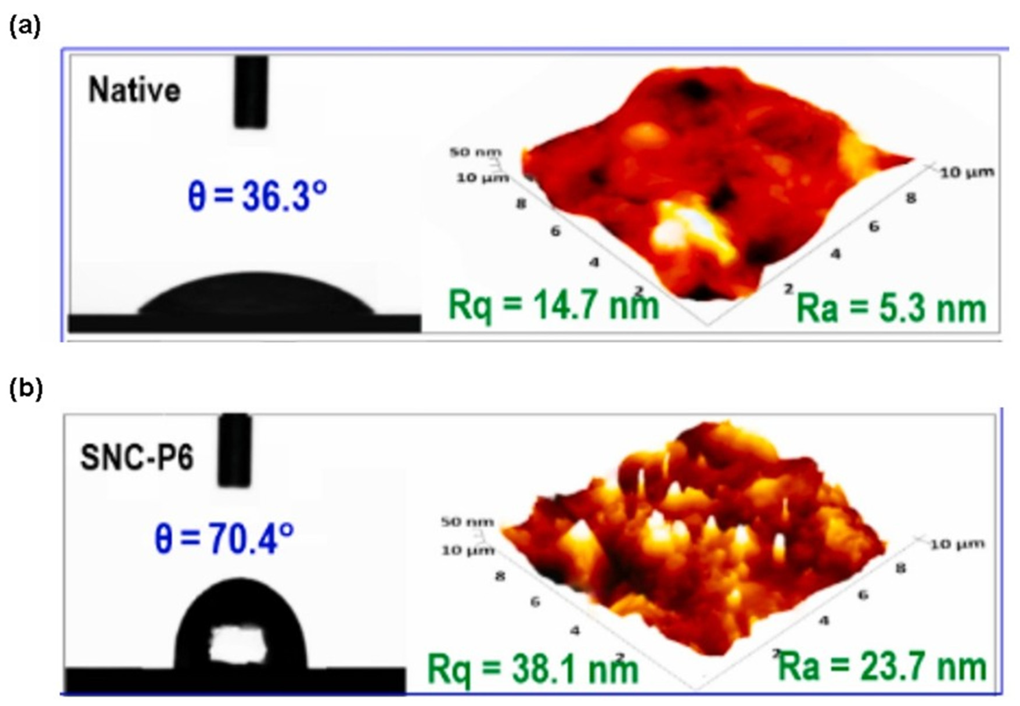 Processes 13 00342 g009