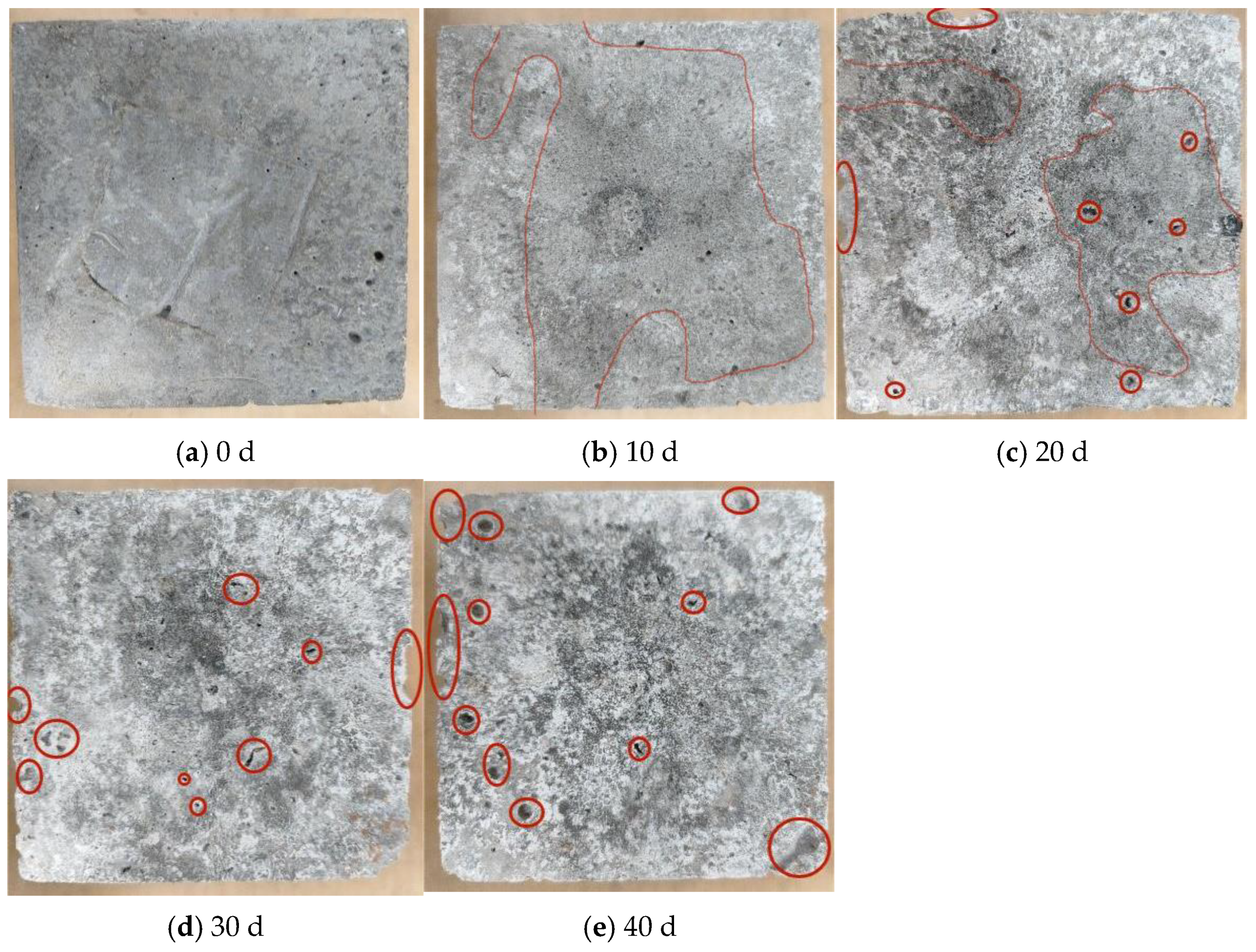 Processes 13 00568 g001