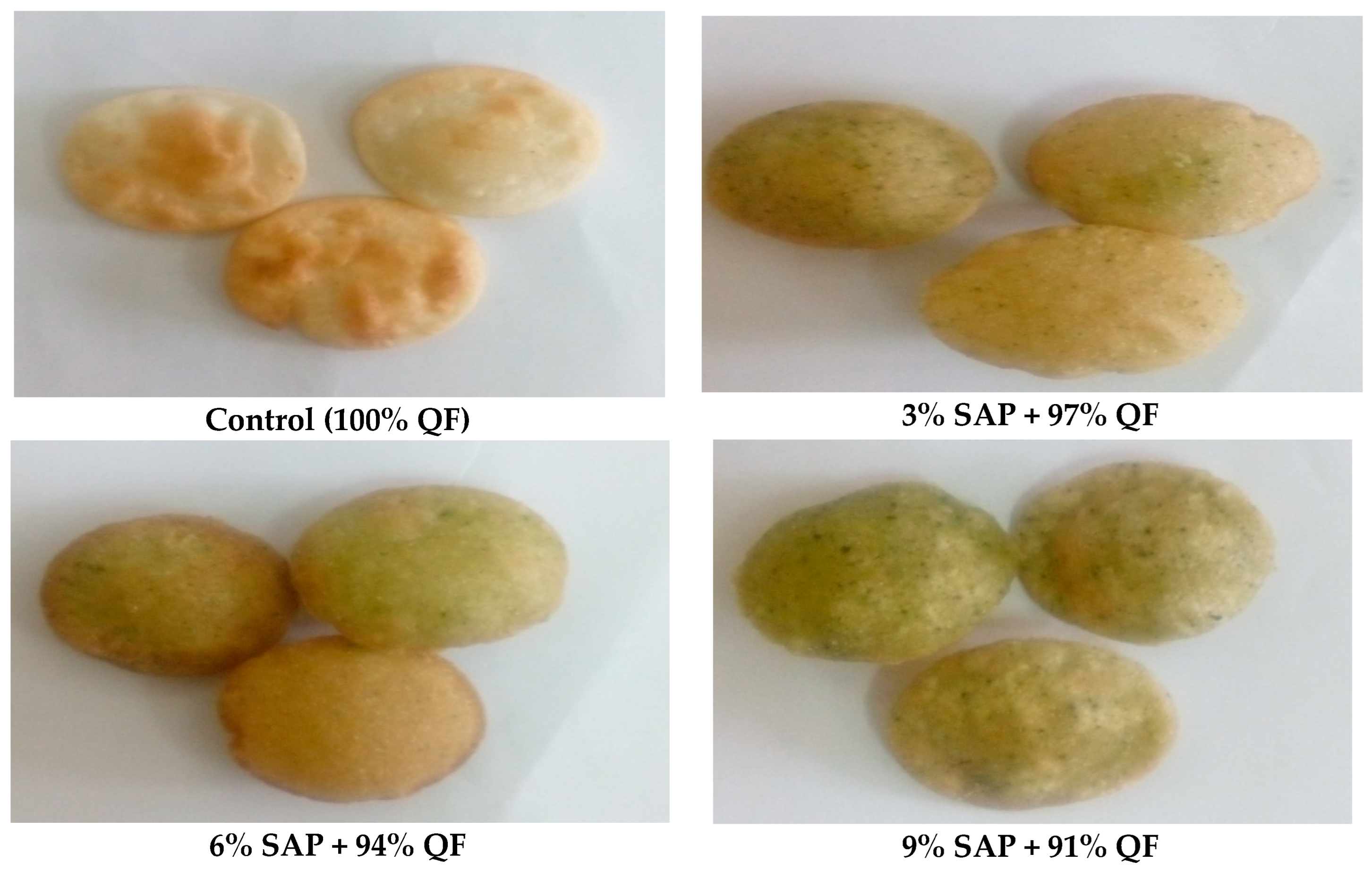 Processes 13 00625 g002b