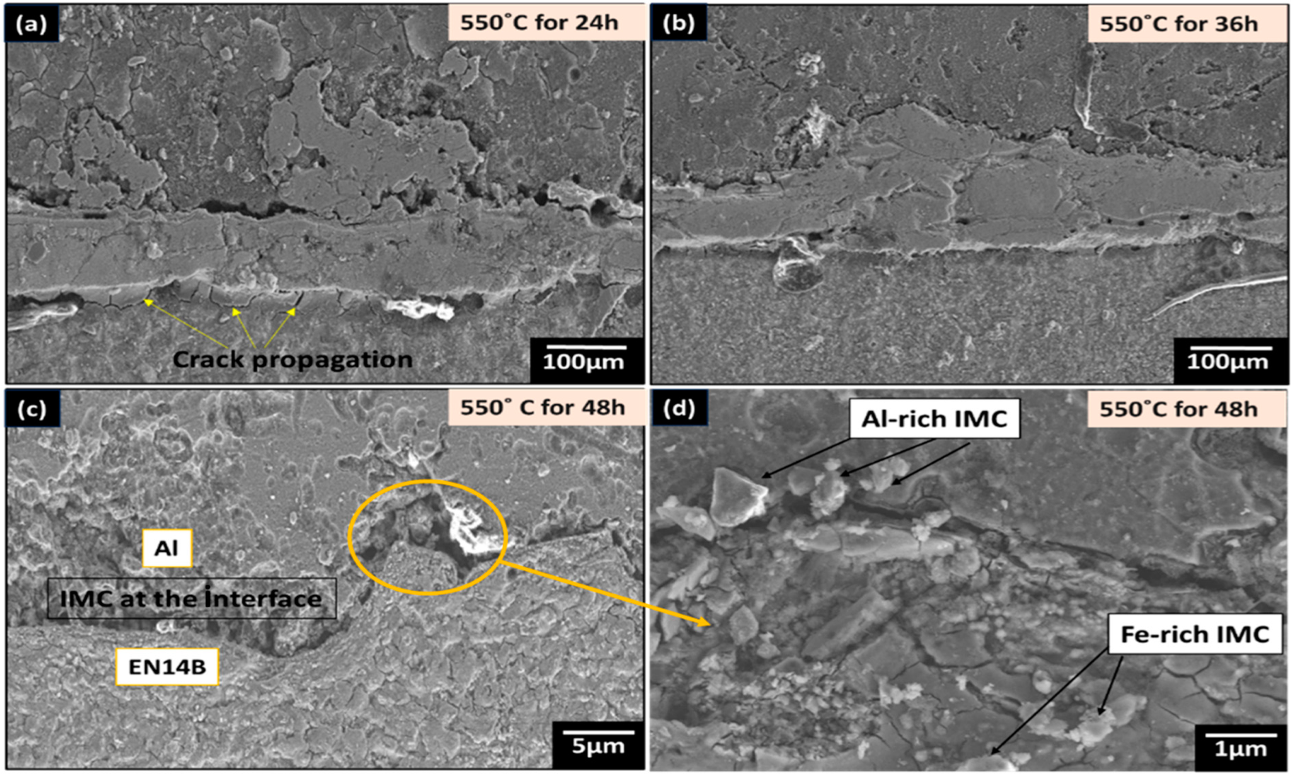 Processes 13 00637 g007 Processes 13 00637 g007