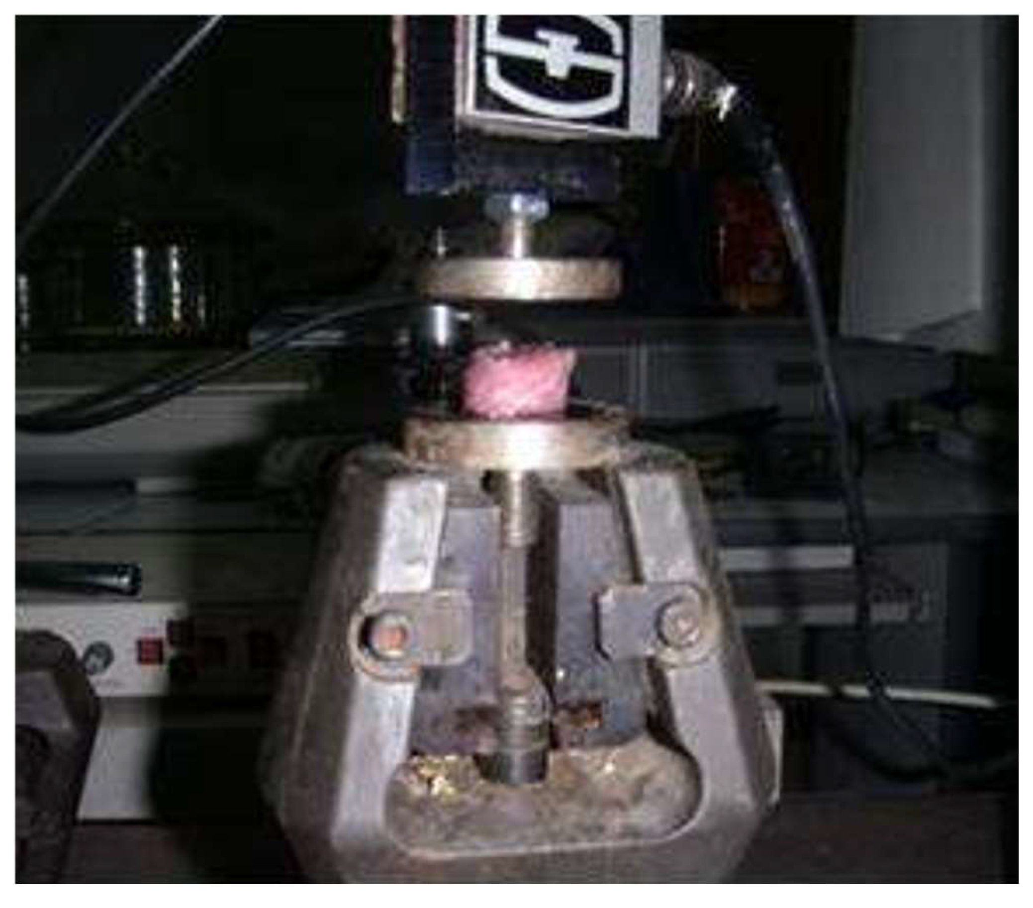 Processes 13 00640 g004