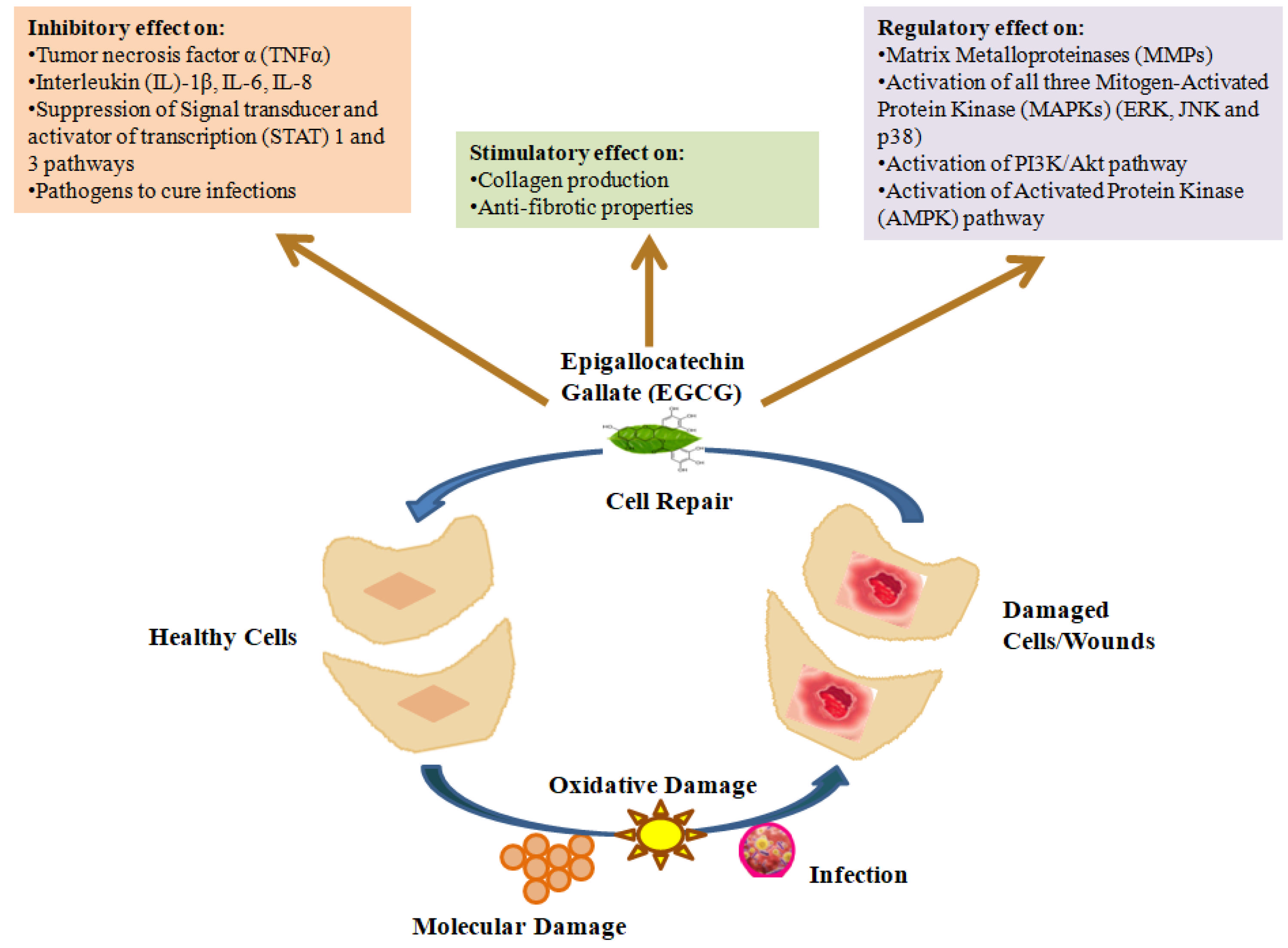 Processes 13 00653 g002