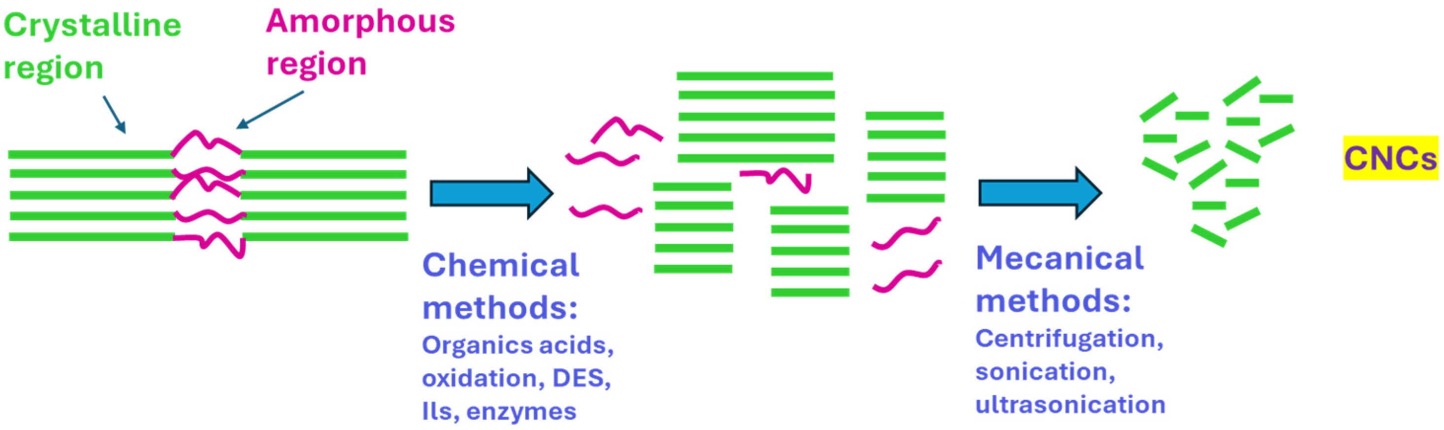 Processes 13 00790 g004
