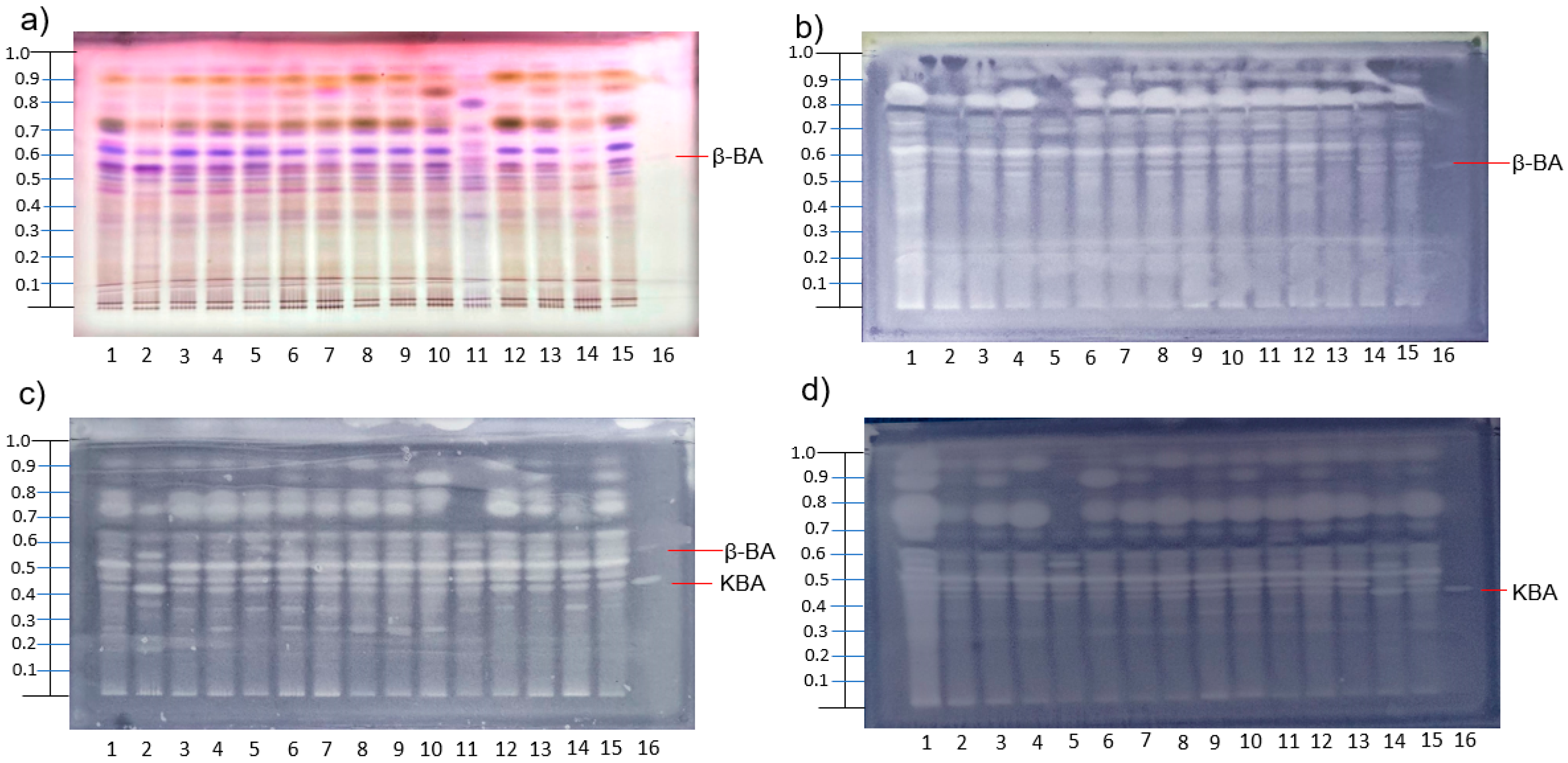 Processes 13 00850 g001