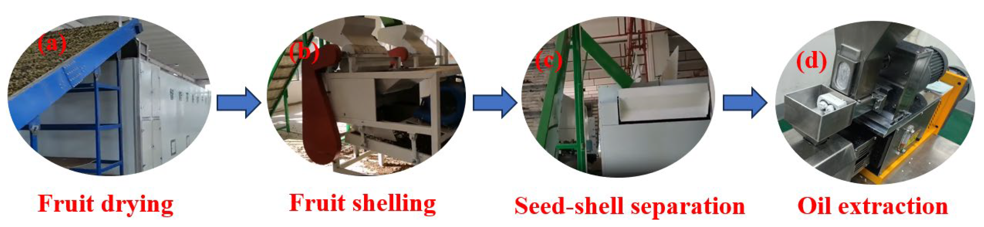 Processes 13 00856 g001