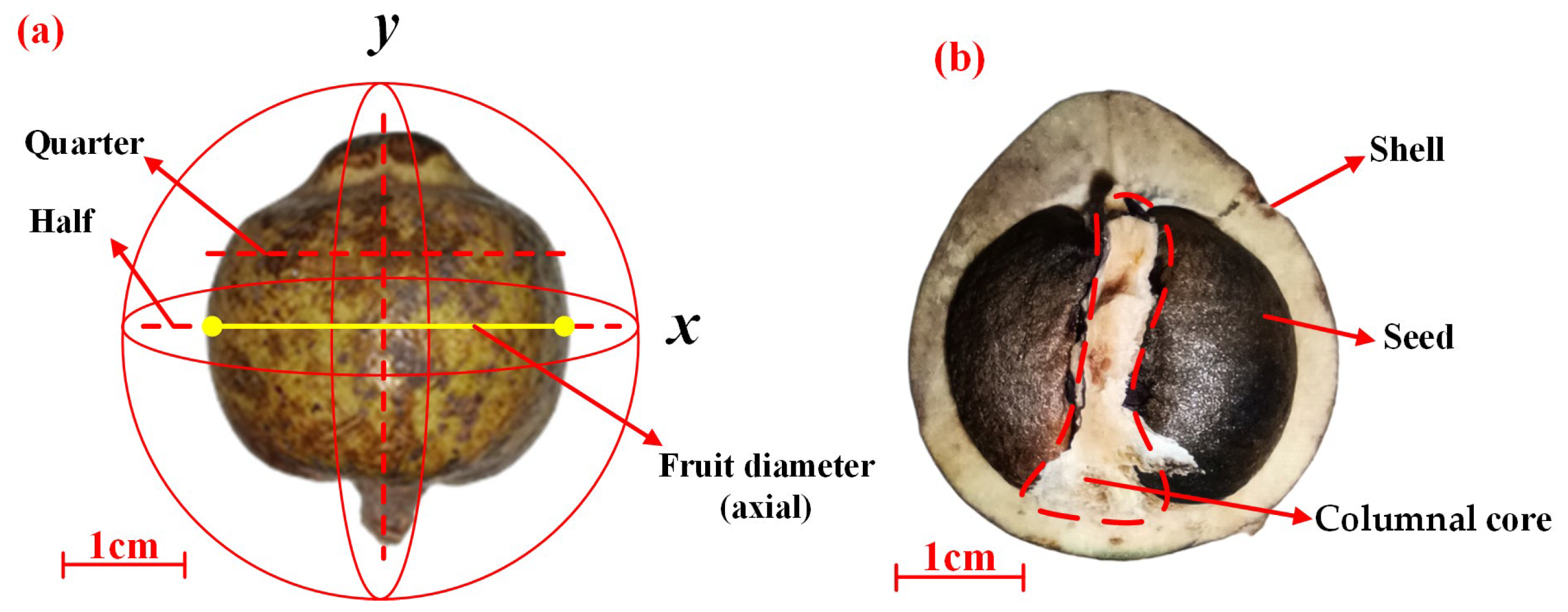 Processes 13 00856 g002