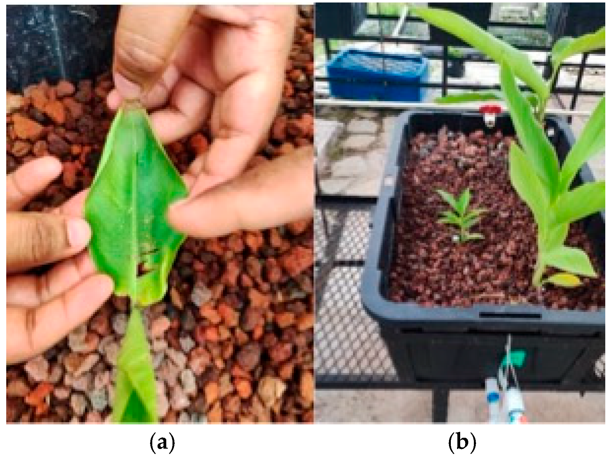 Processes 13 00860 g003