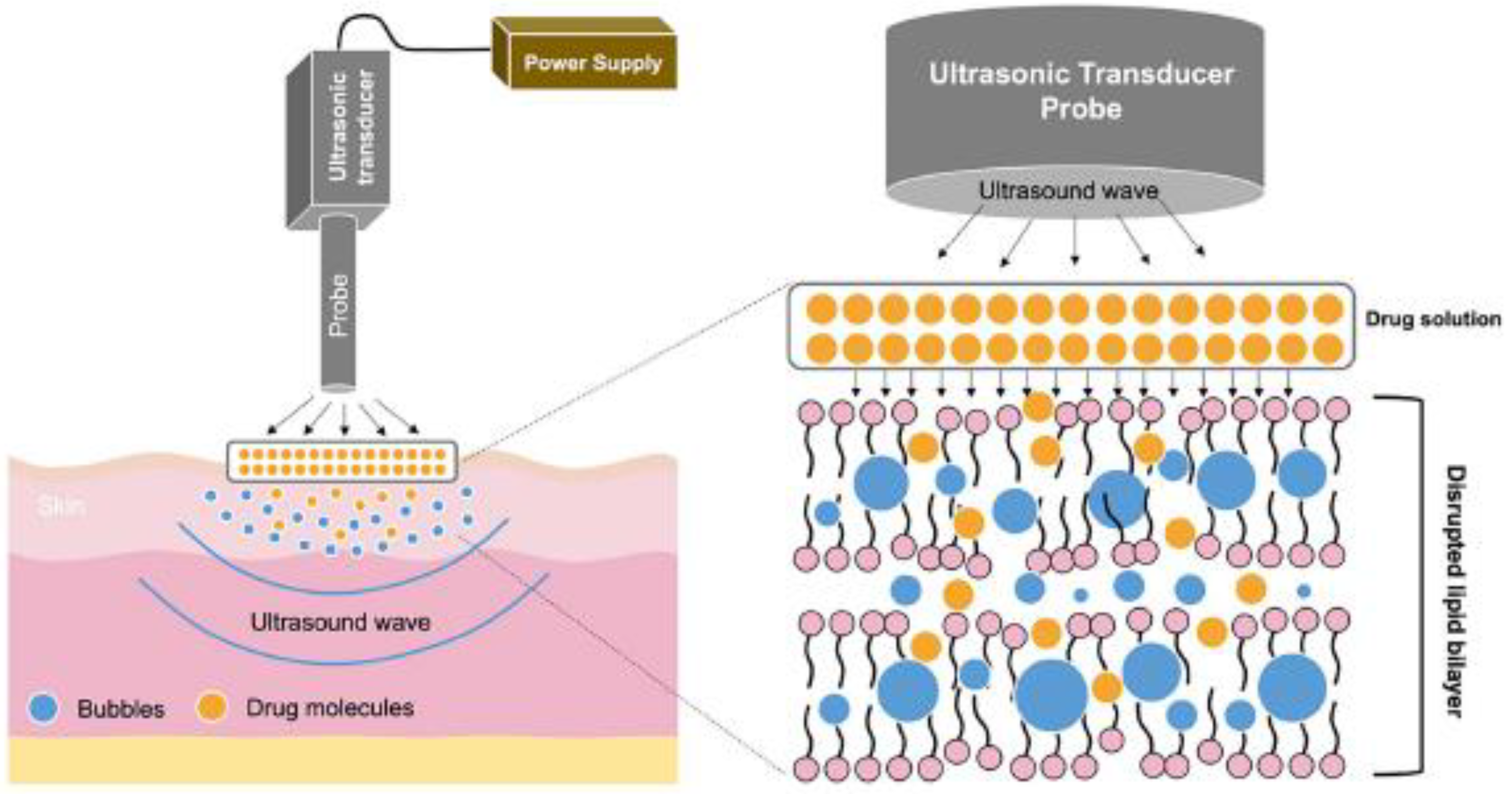 Processes 13 00907 g006