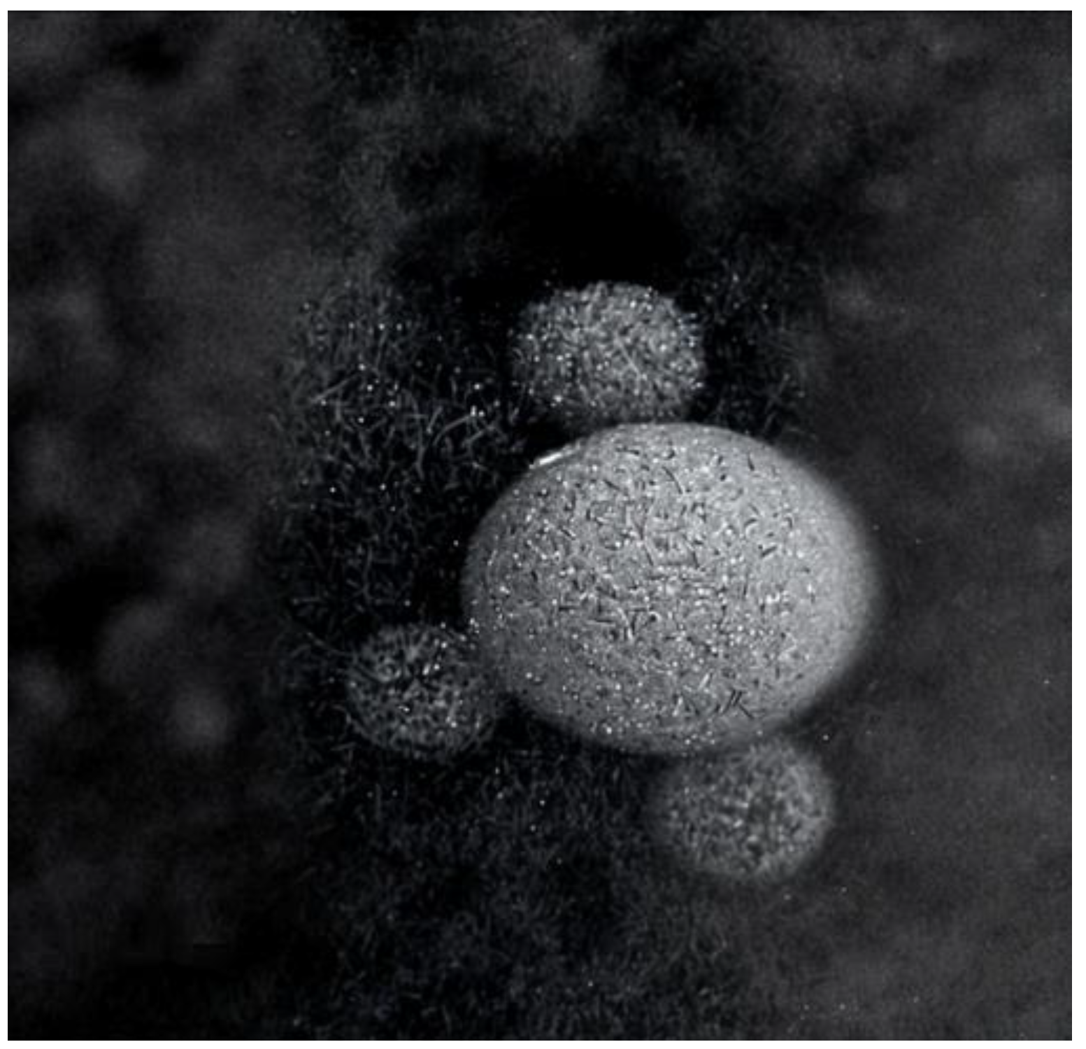 Processes 13 00907 g011