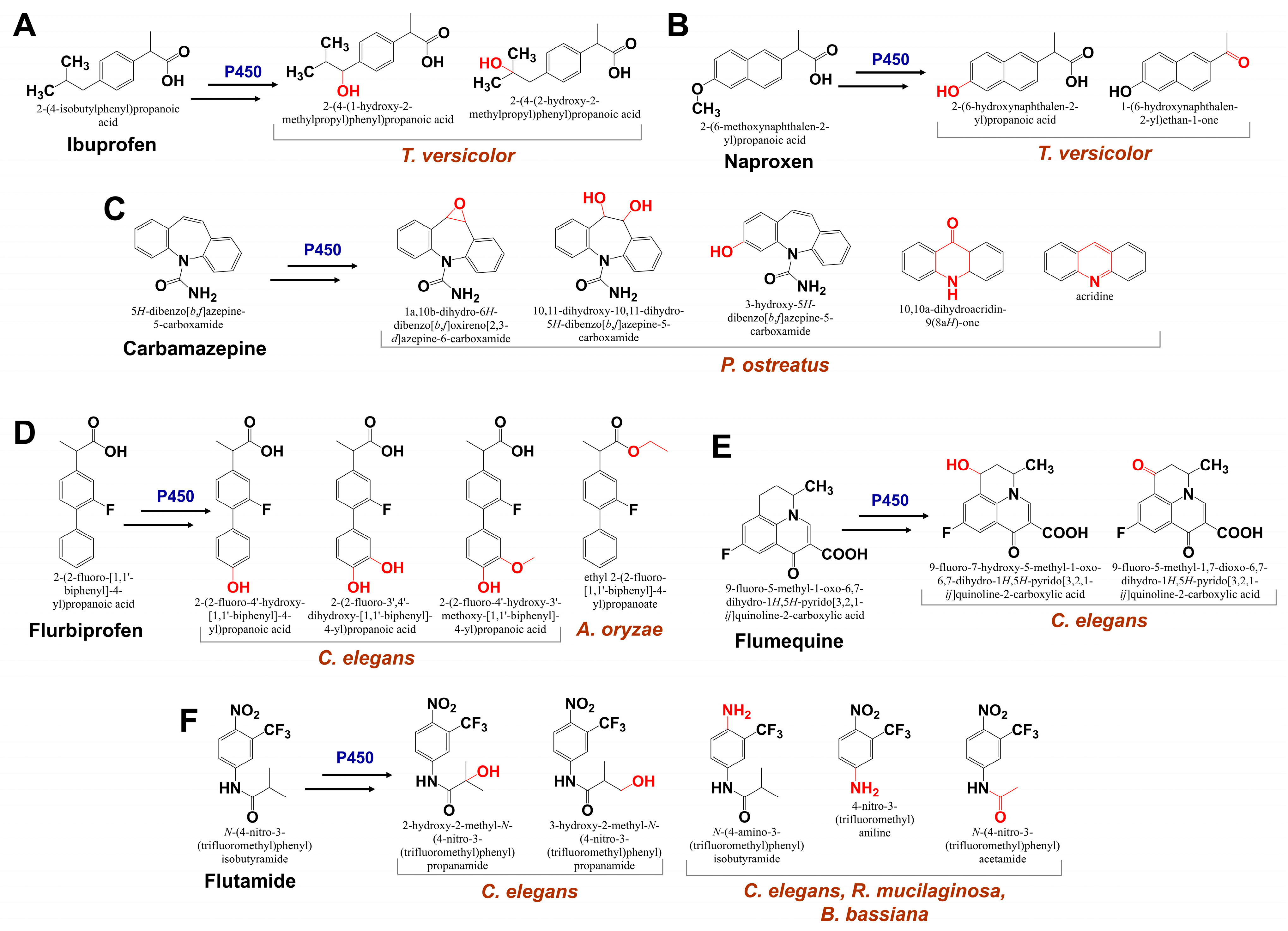 Processes 13 01034 g006