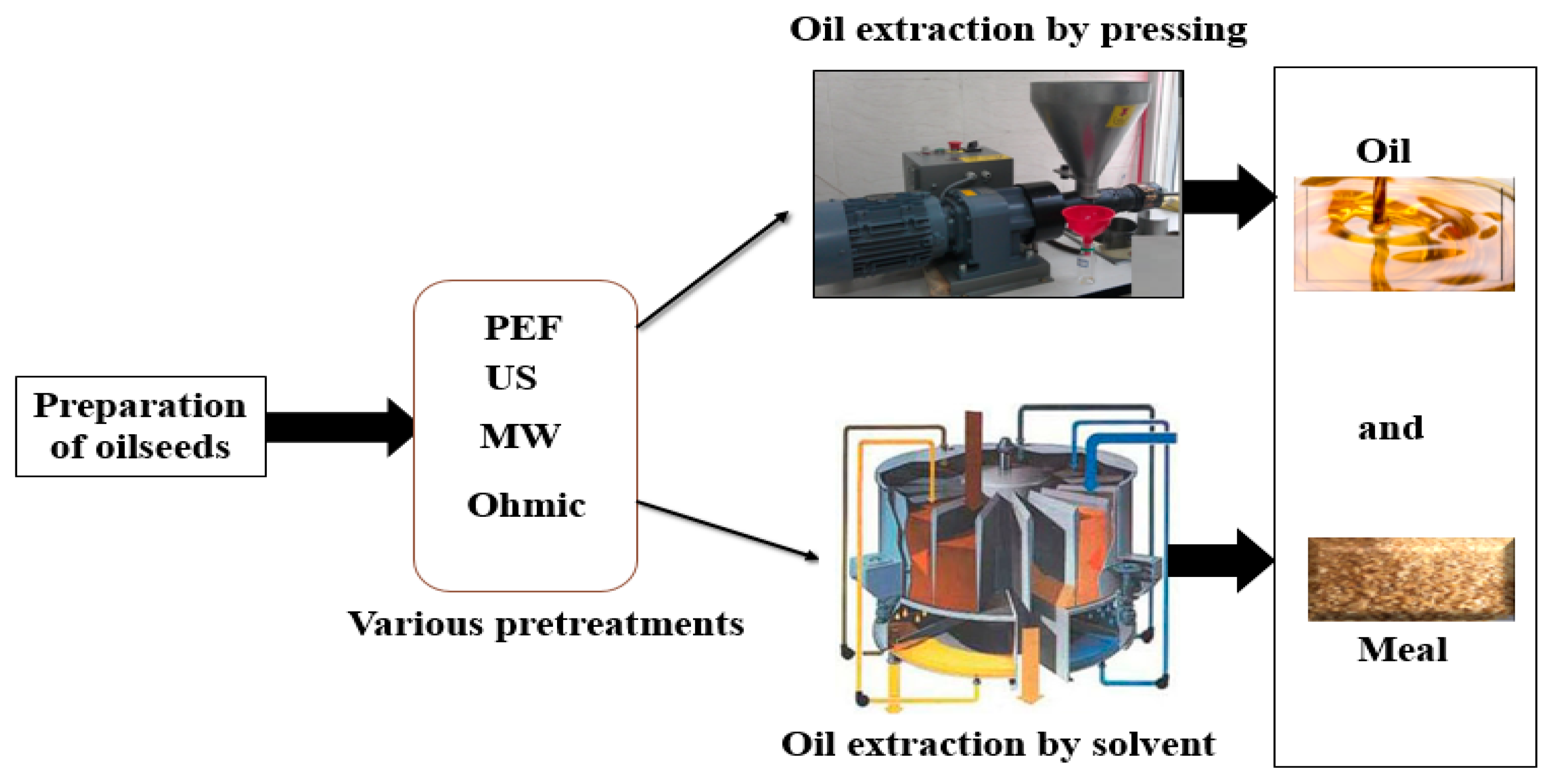 Processes 13 01124 g002