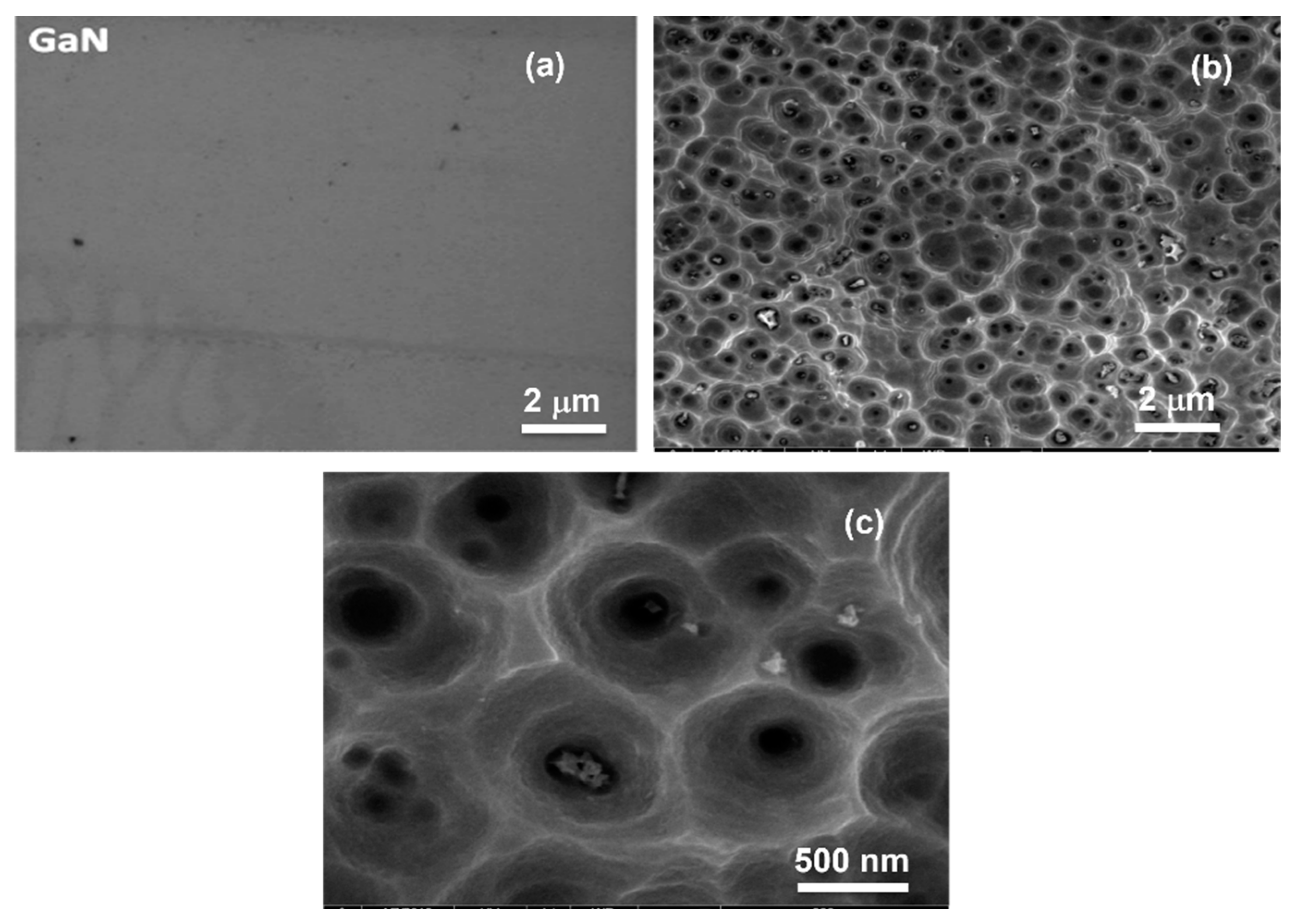 Processes 13 01257 g001