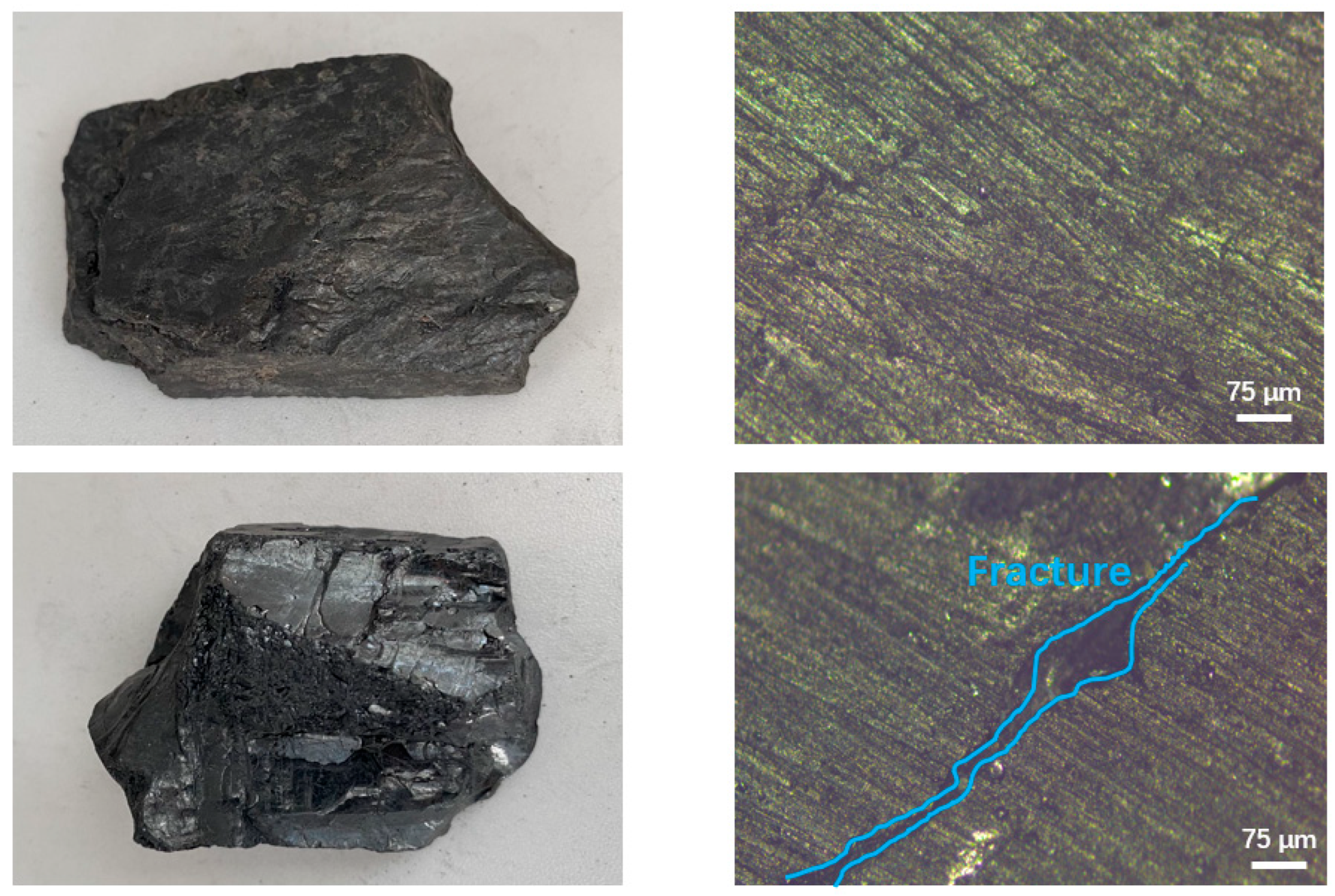 Processes 13 01262 g001