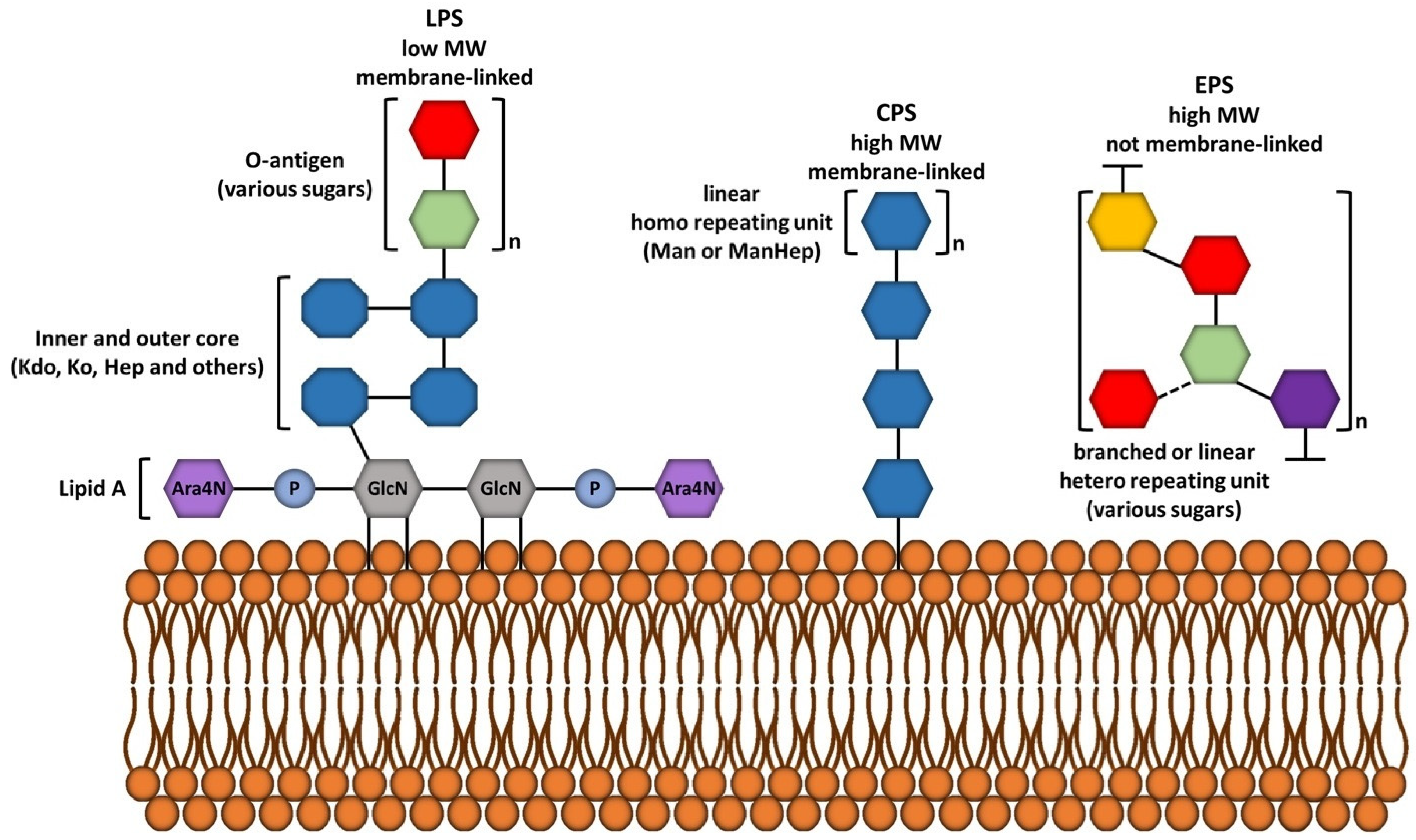 Processes 13 01270 g002 Processes 13 01270 g002