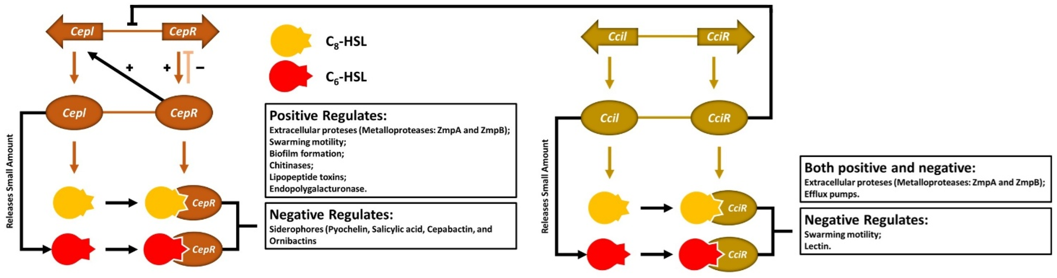 Processes 13 01270 g004 Processes 13 01270 g004