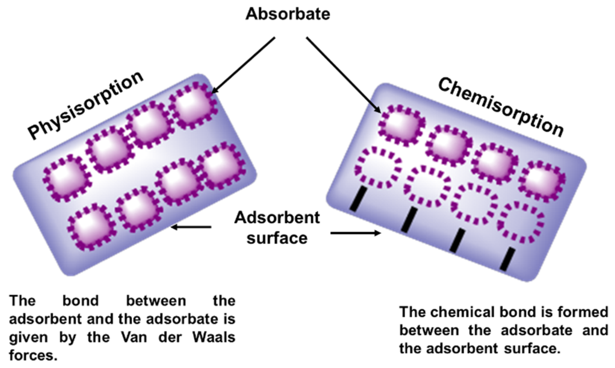 Processes 13 01325 g012