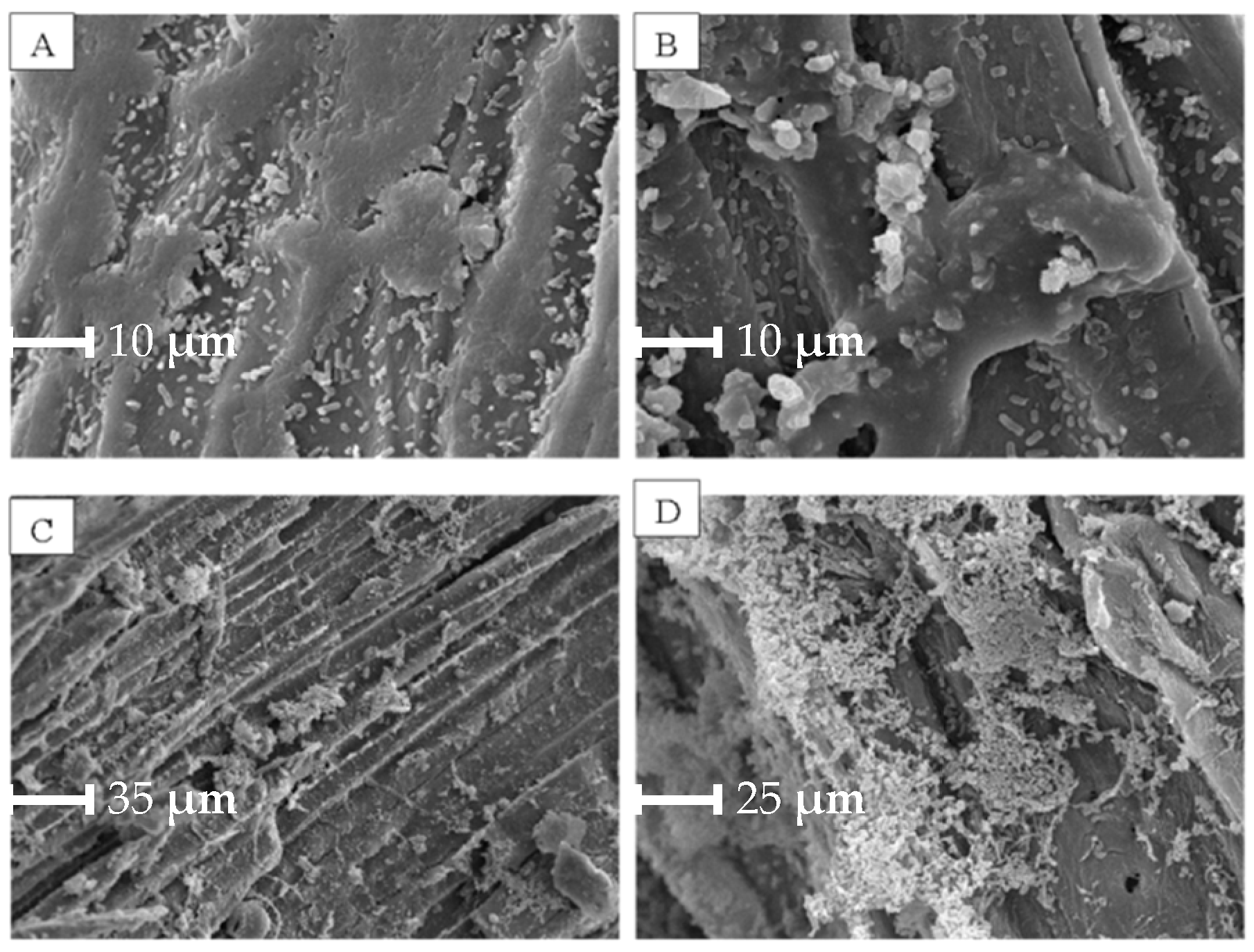 Processes 13 01337 g004
