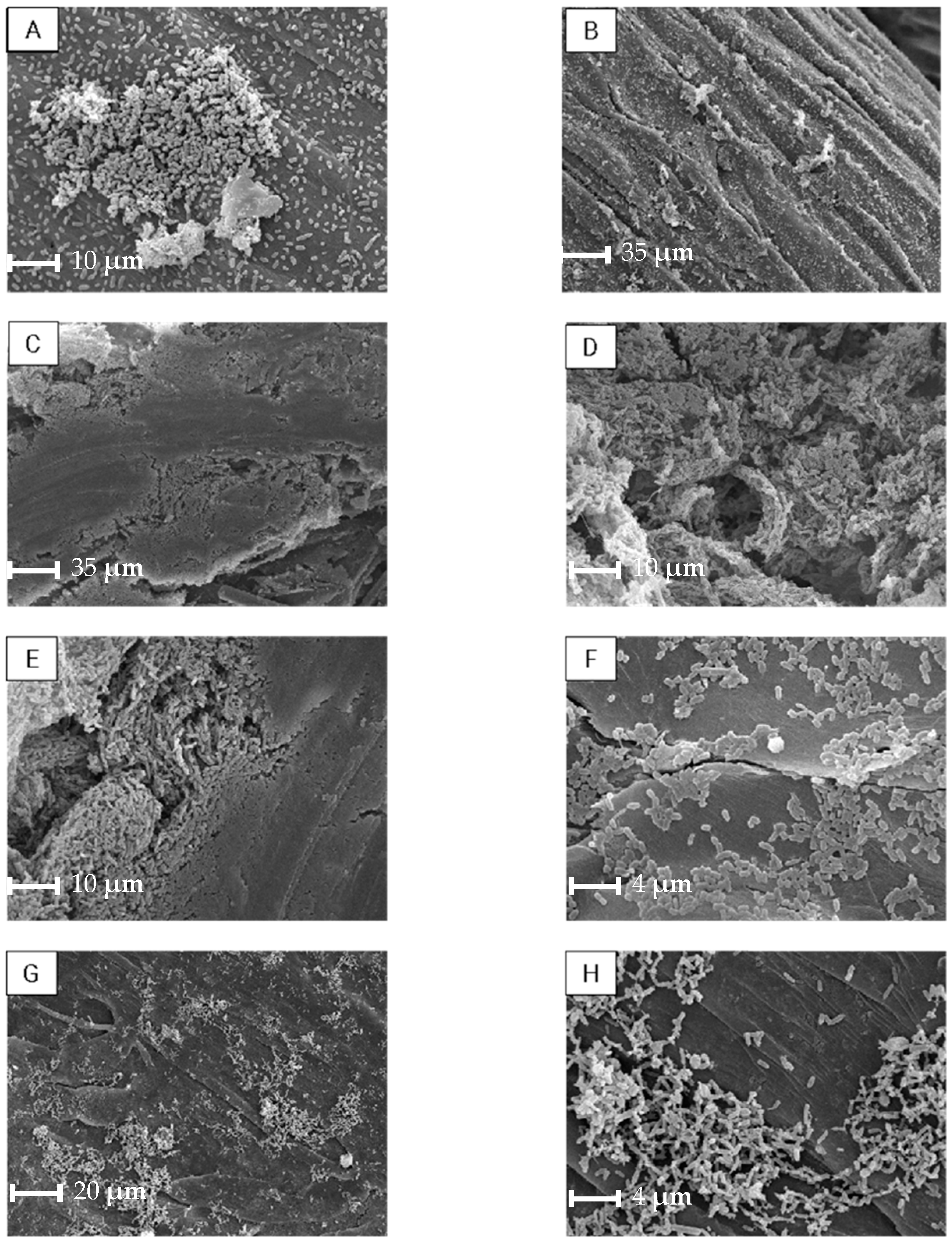 Processes 13 01337 g005