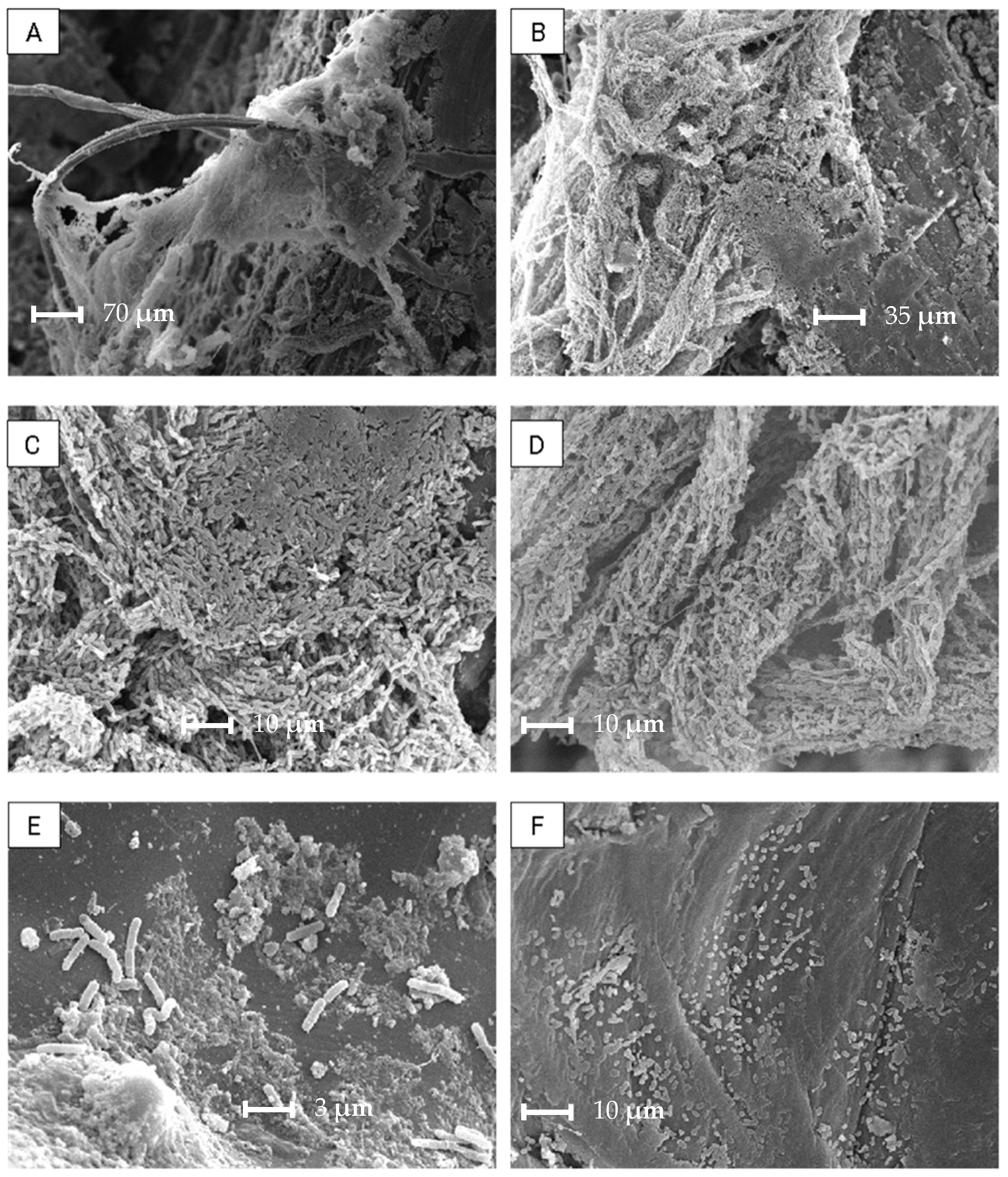 Processes 13 01337 g008