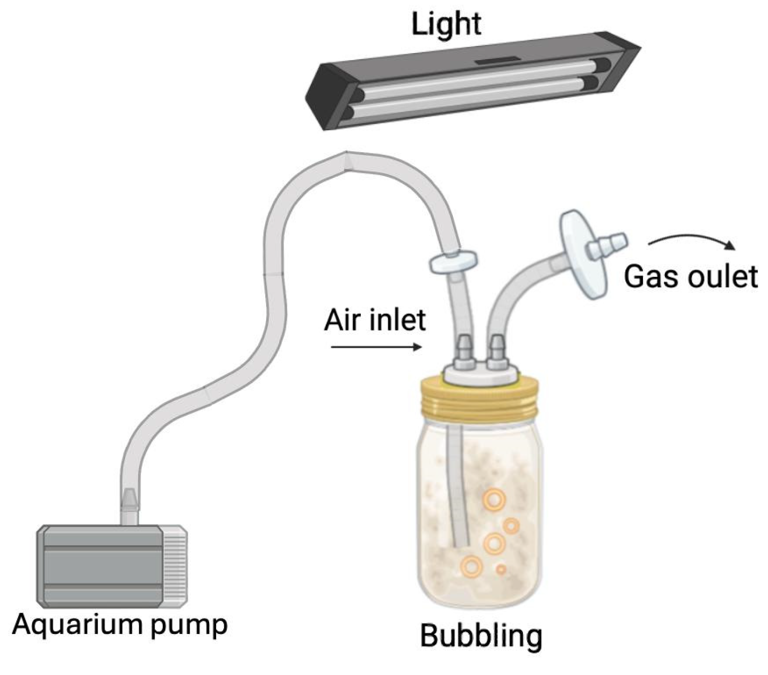 Processes 13 01341 g001
