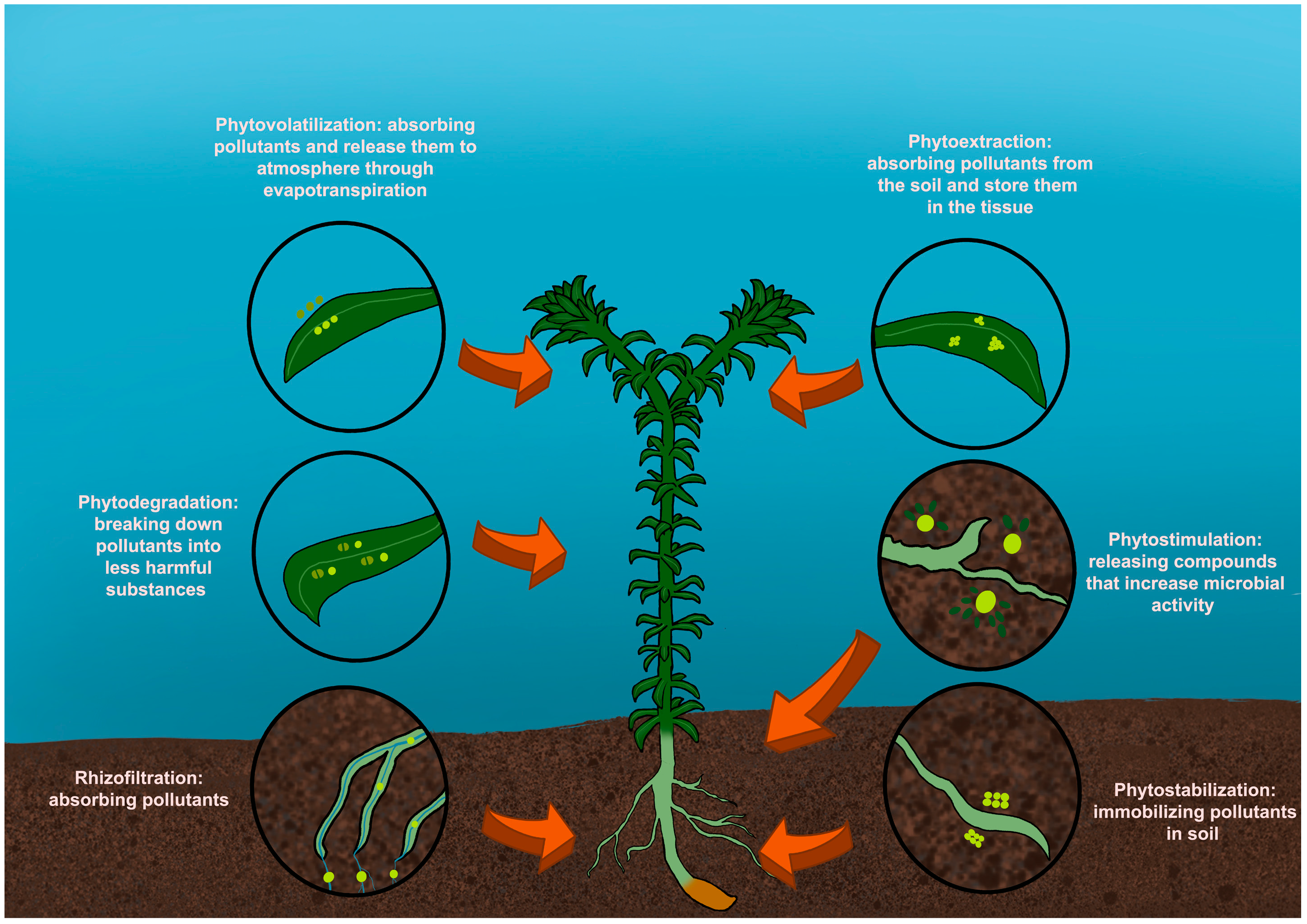 Processes 13 01545 g001
