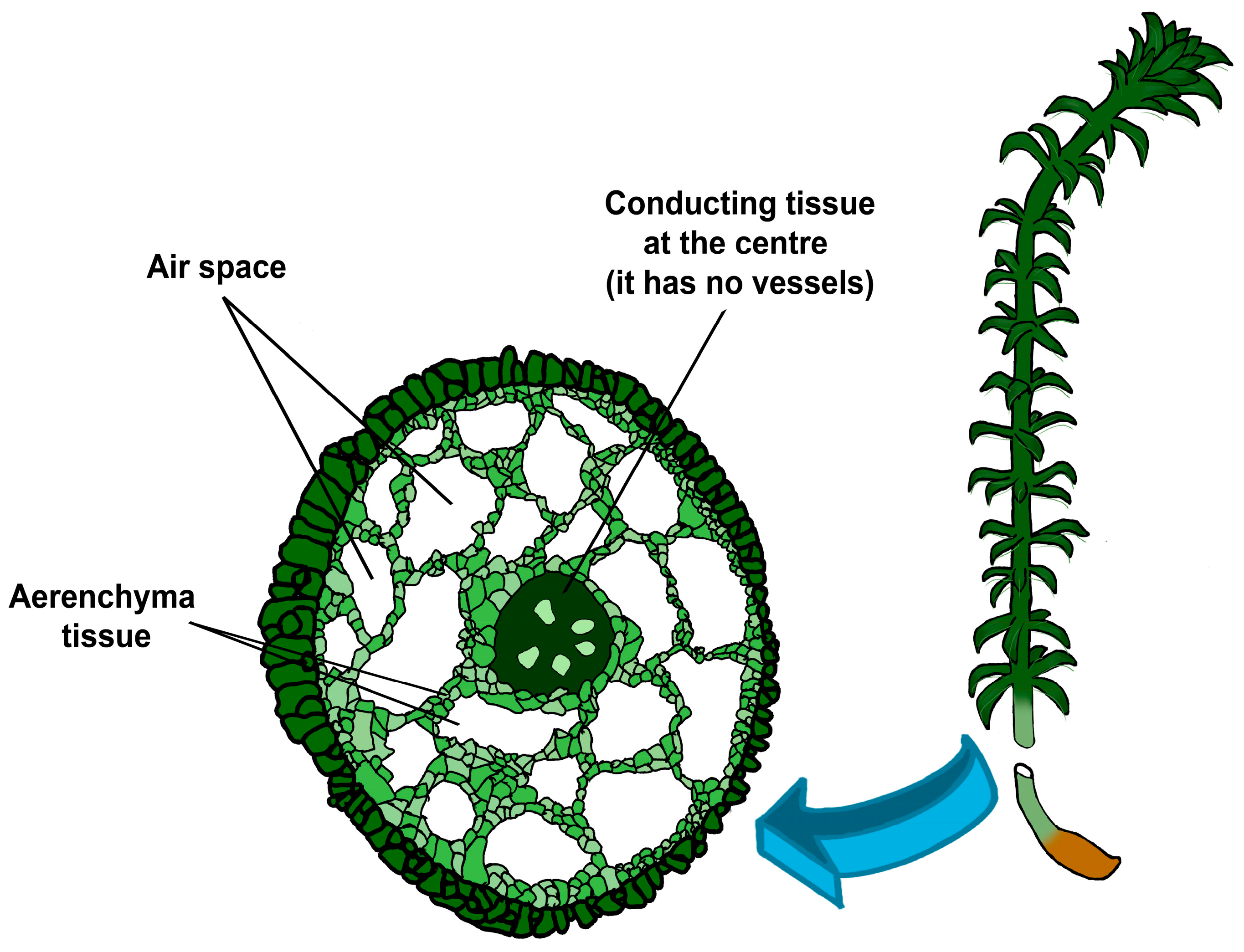 Processes 13 01545 g003