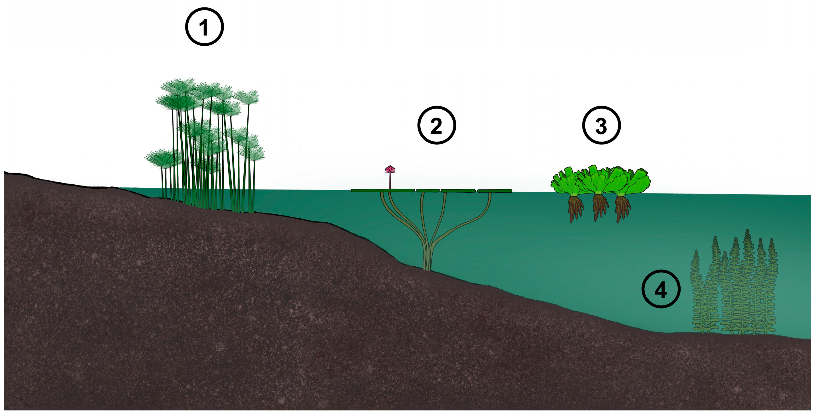 Processes 13 01545 g004