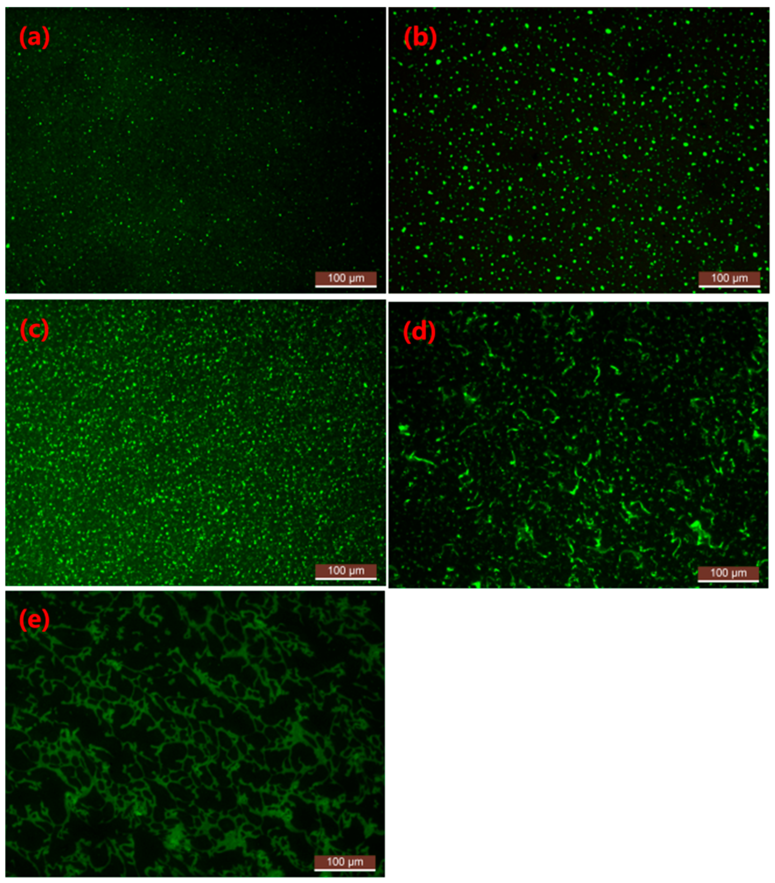 Processes 13 02125 g005