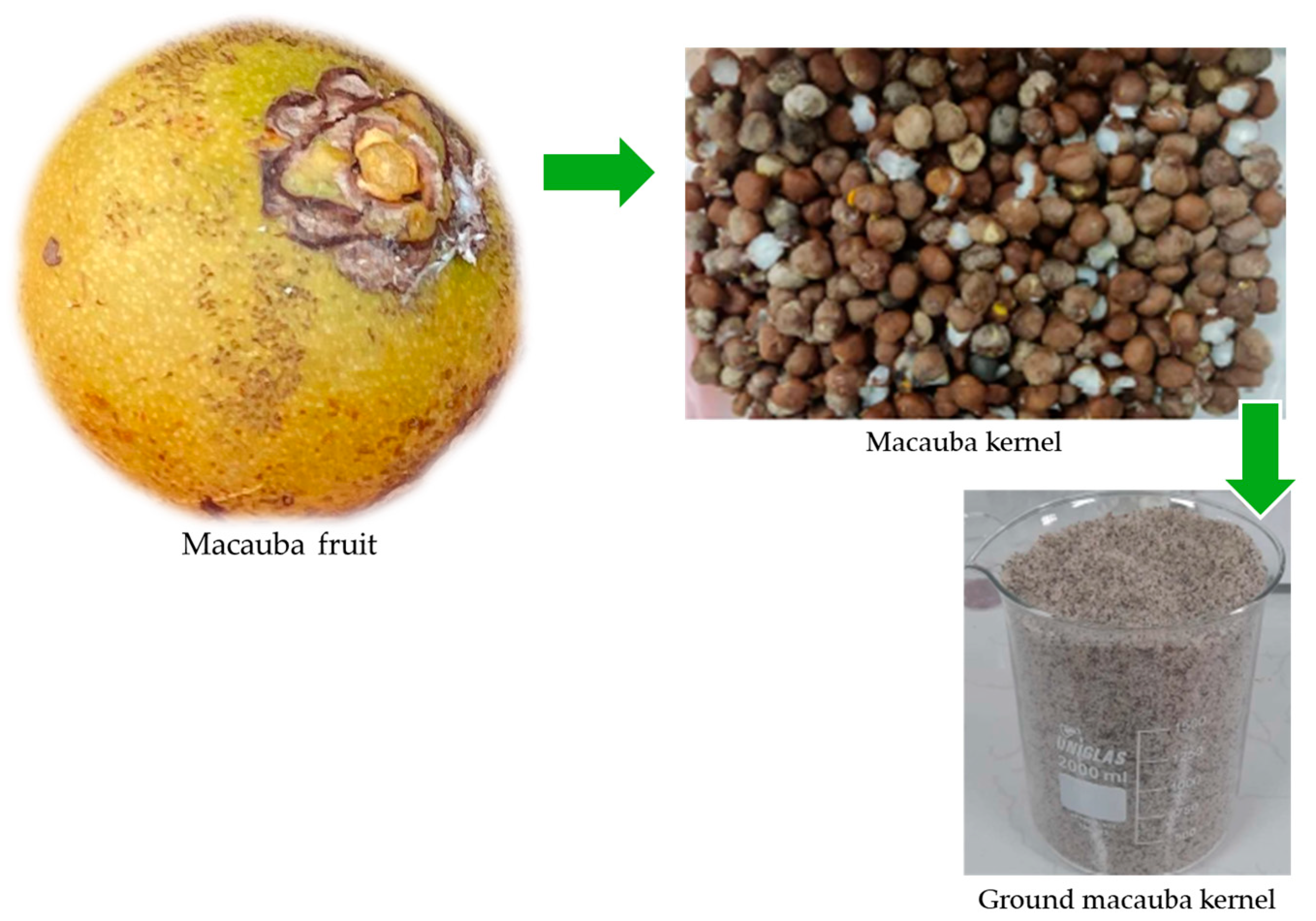 Processes 13 02637 g001 Processes 13 02637 g001