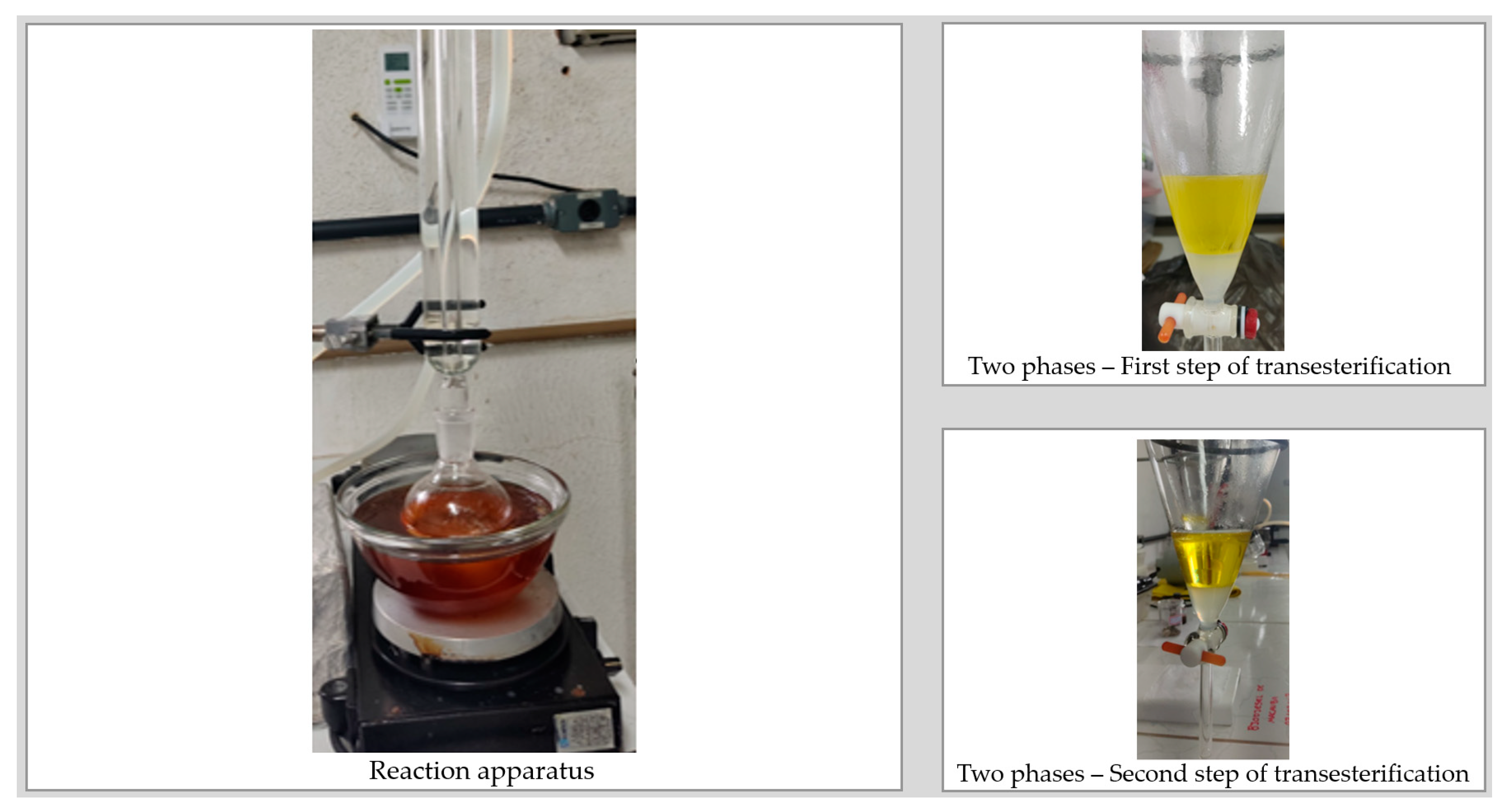 Processes 13 02637 g002 Processes 13 02637 g002