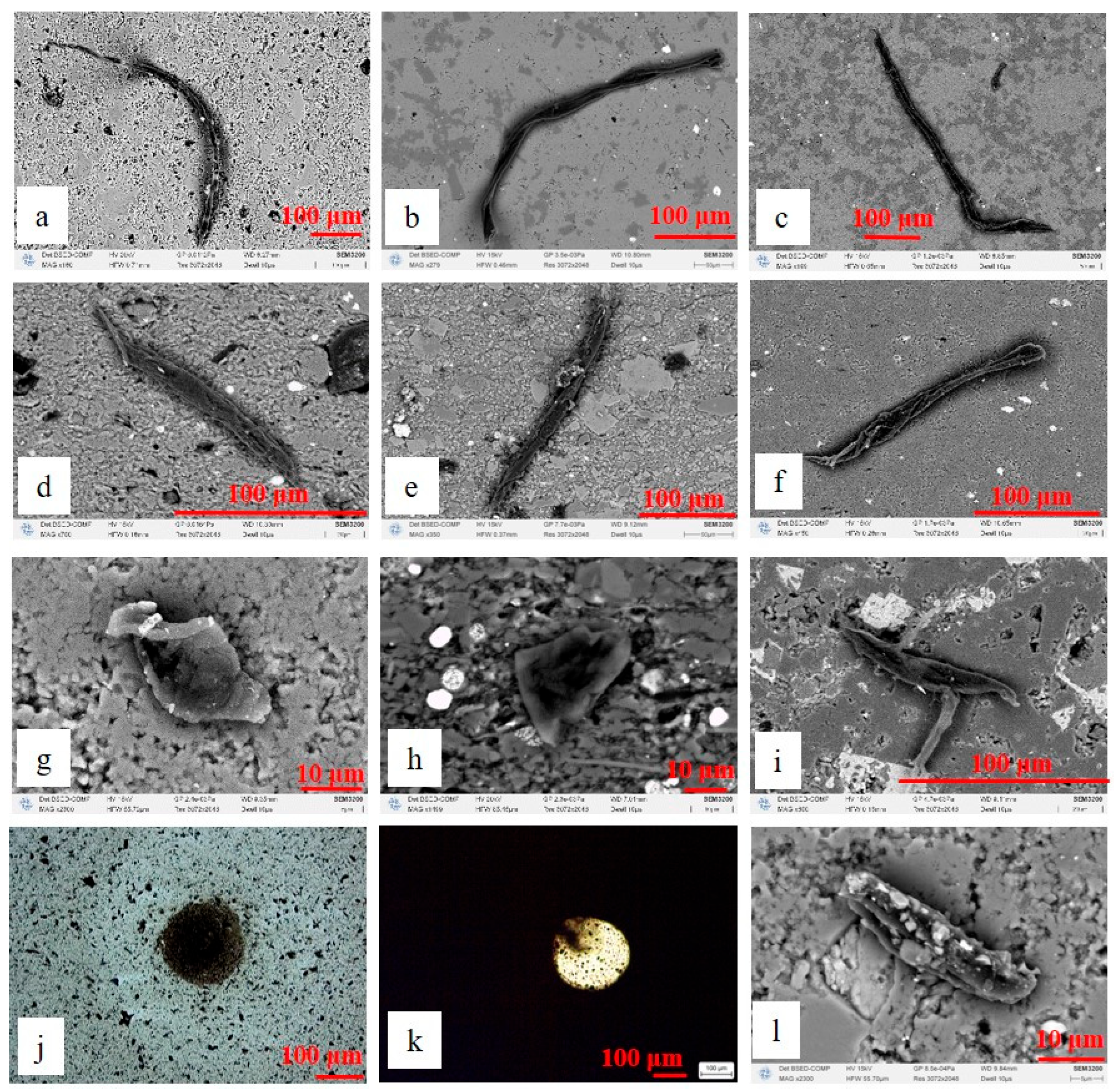Processes 13 02673 g003 Processes 13 02673 g003