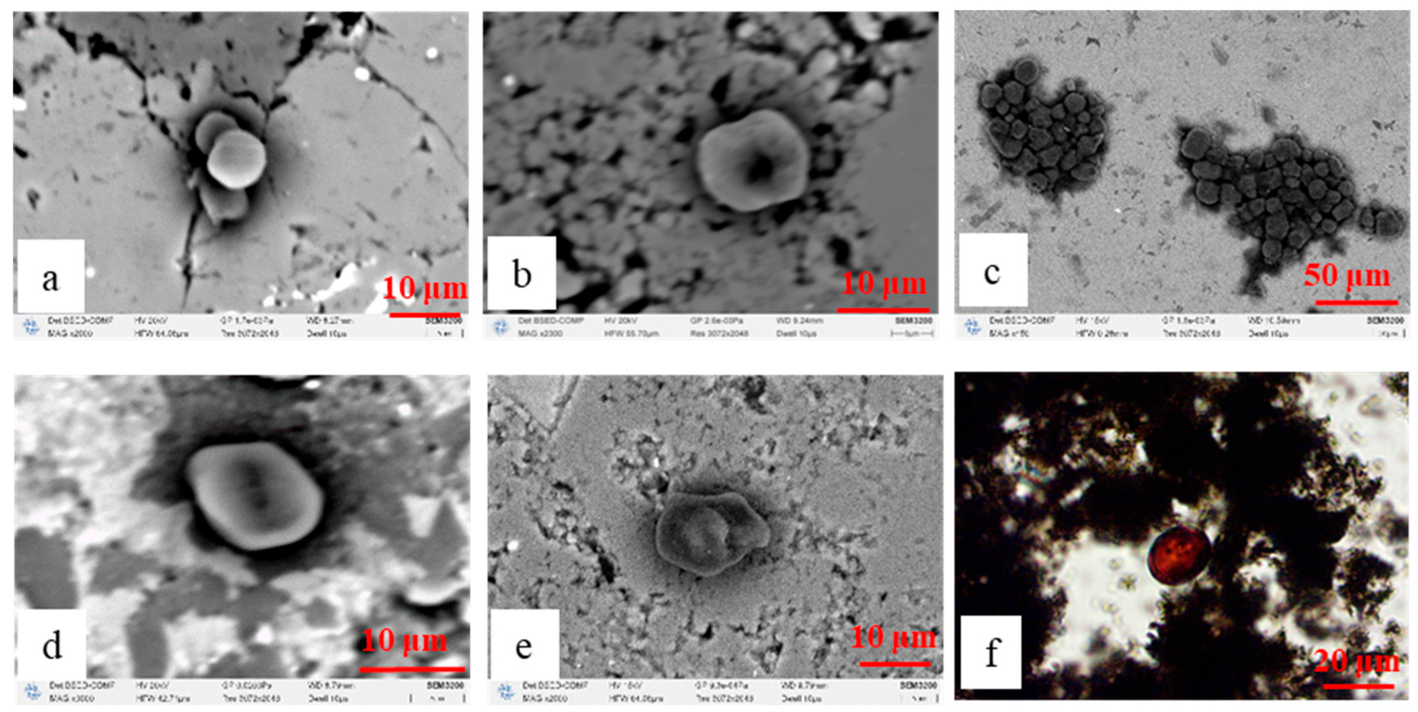 Processes 13 02673 g004 Processes 13 02673 g004