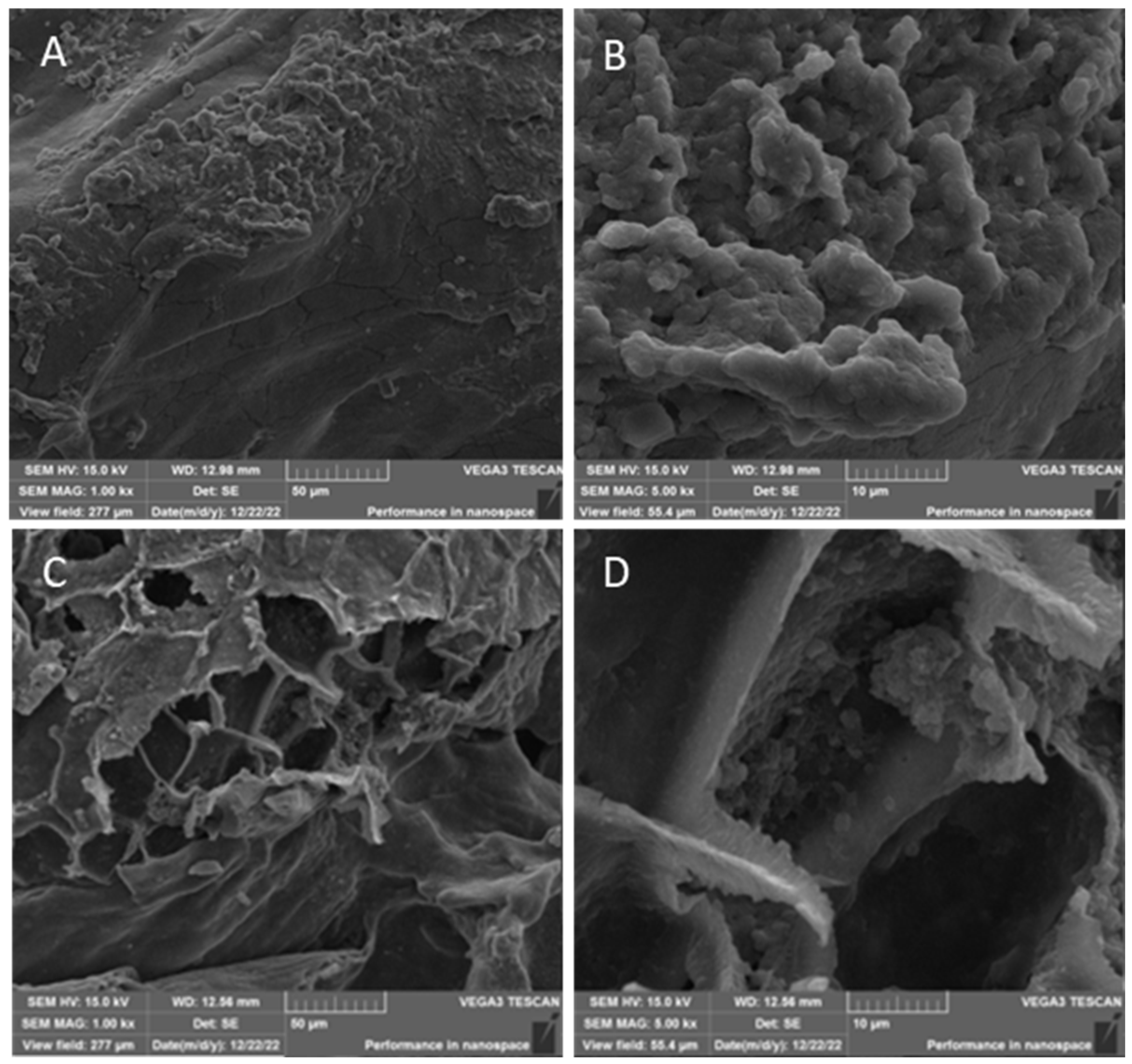 Processes 13 02689 g003 Processes 13 02689 g003