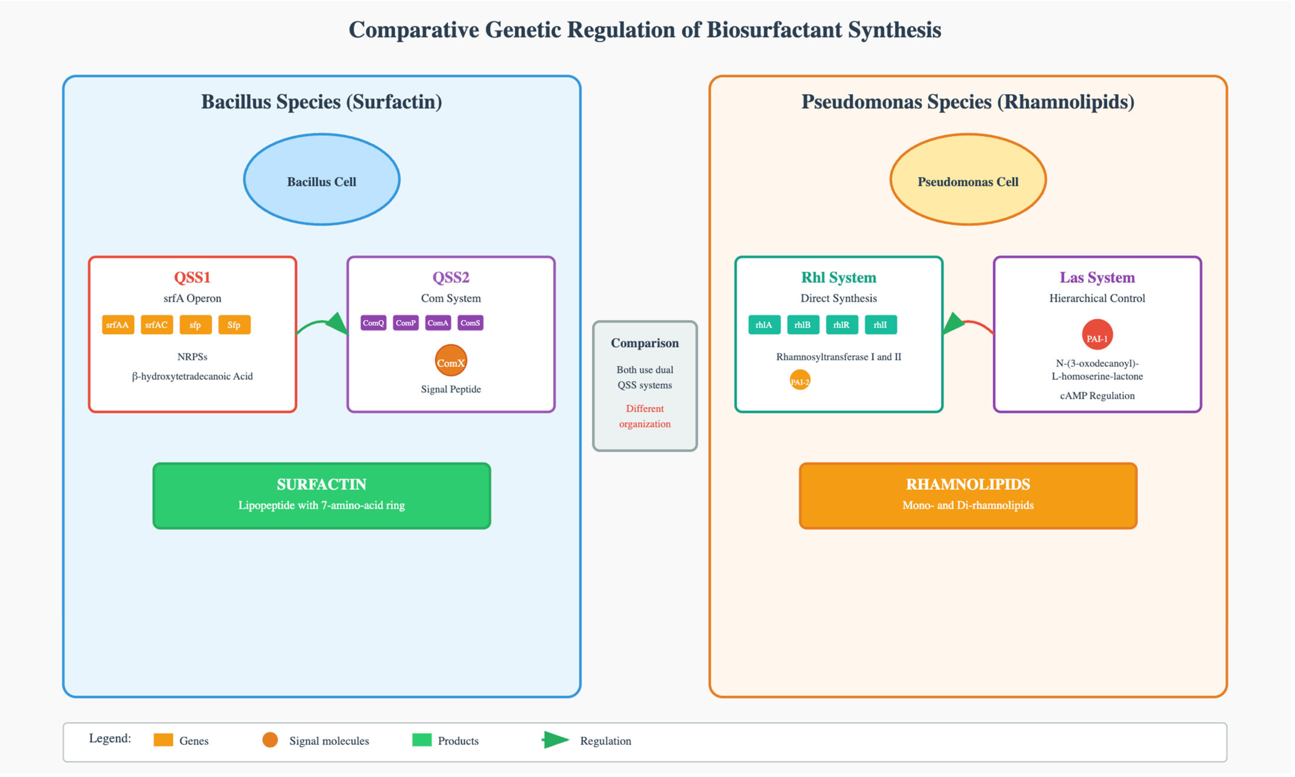 Processes 13 02811 g003 Processes 13 02811 g003