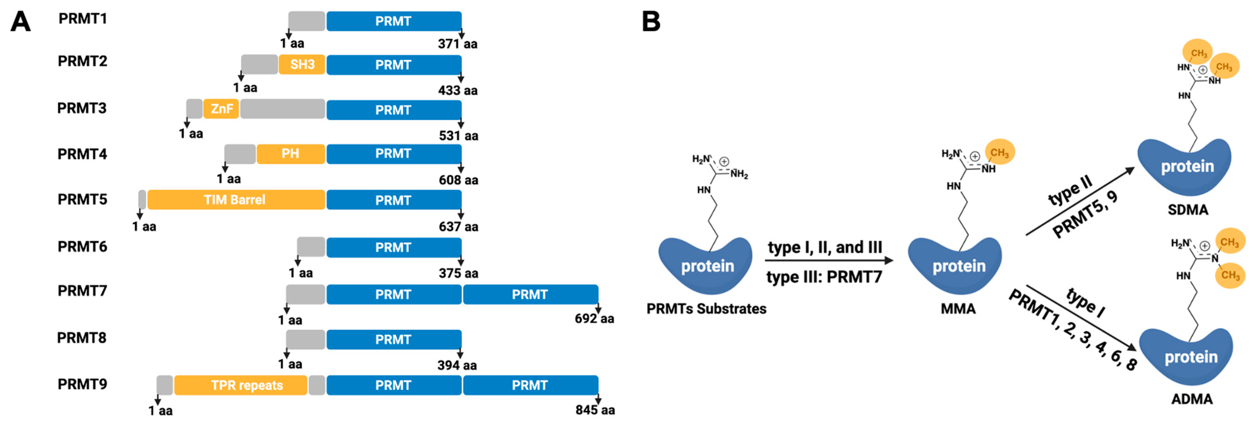Processes 13 02878 g001 Processes 13 02878 g001