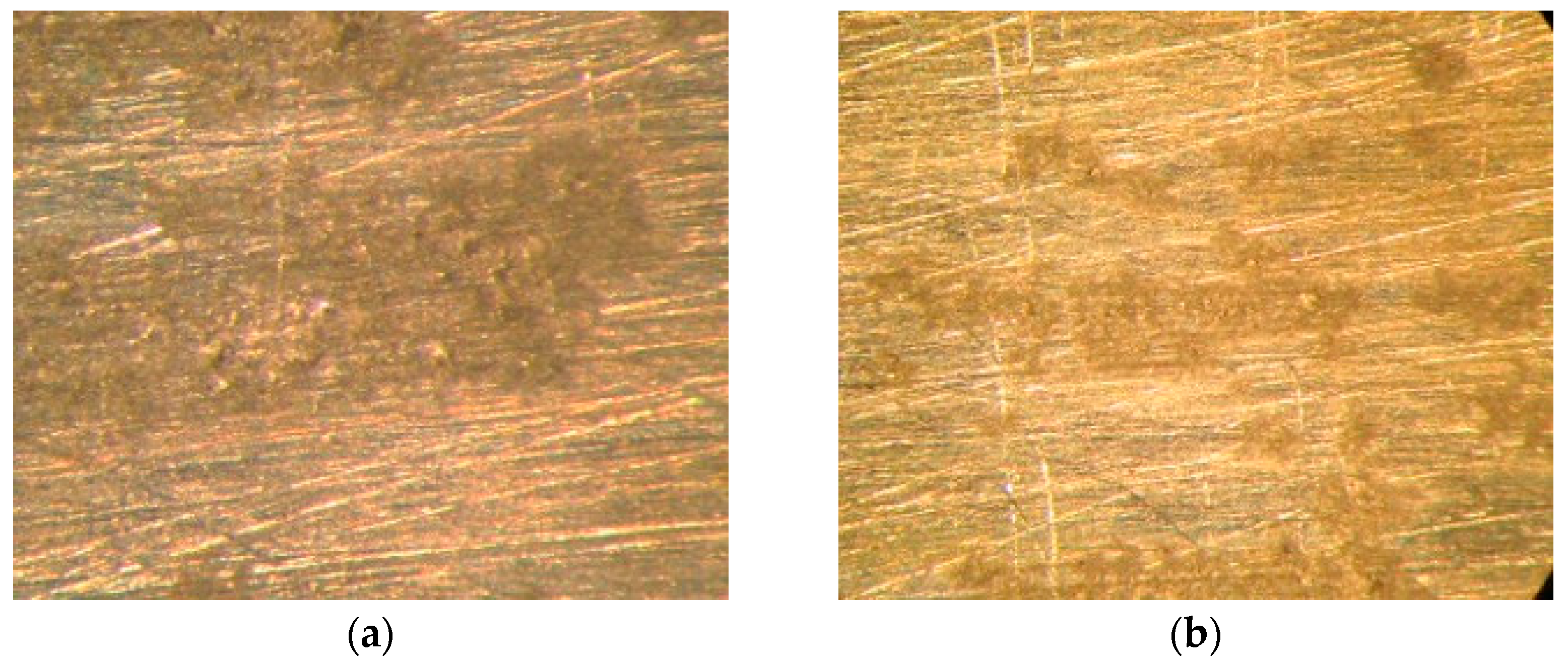 Processes 13 02916 g004 Processes 13 02916 g004