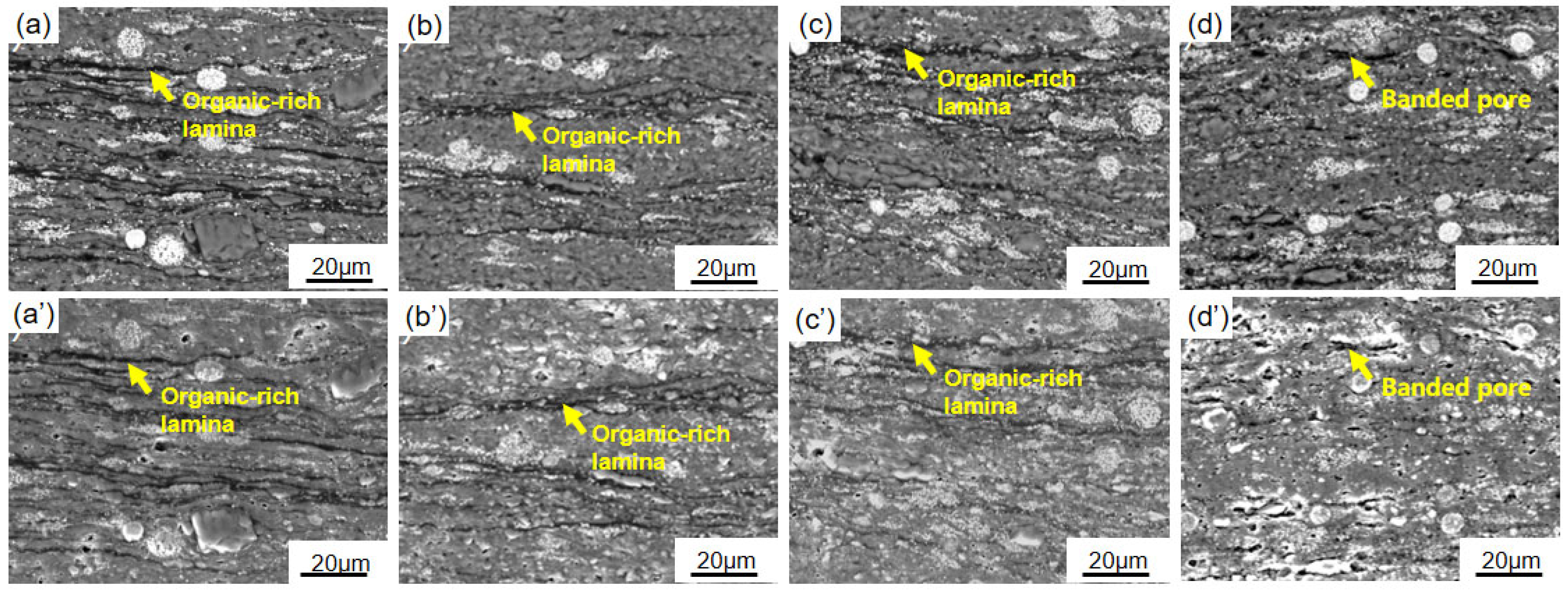 Processes 13 02966 g005 Processes 13 02966 g005