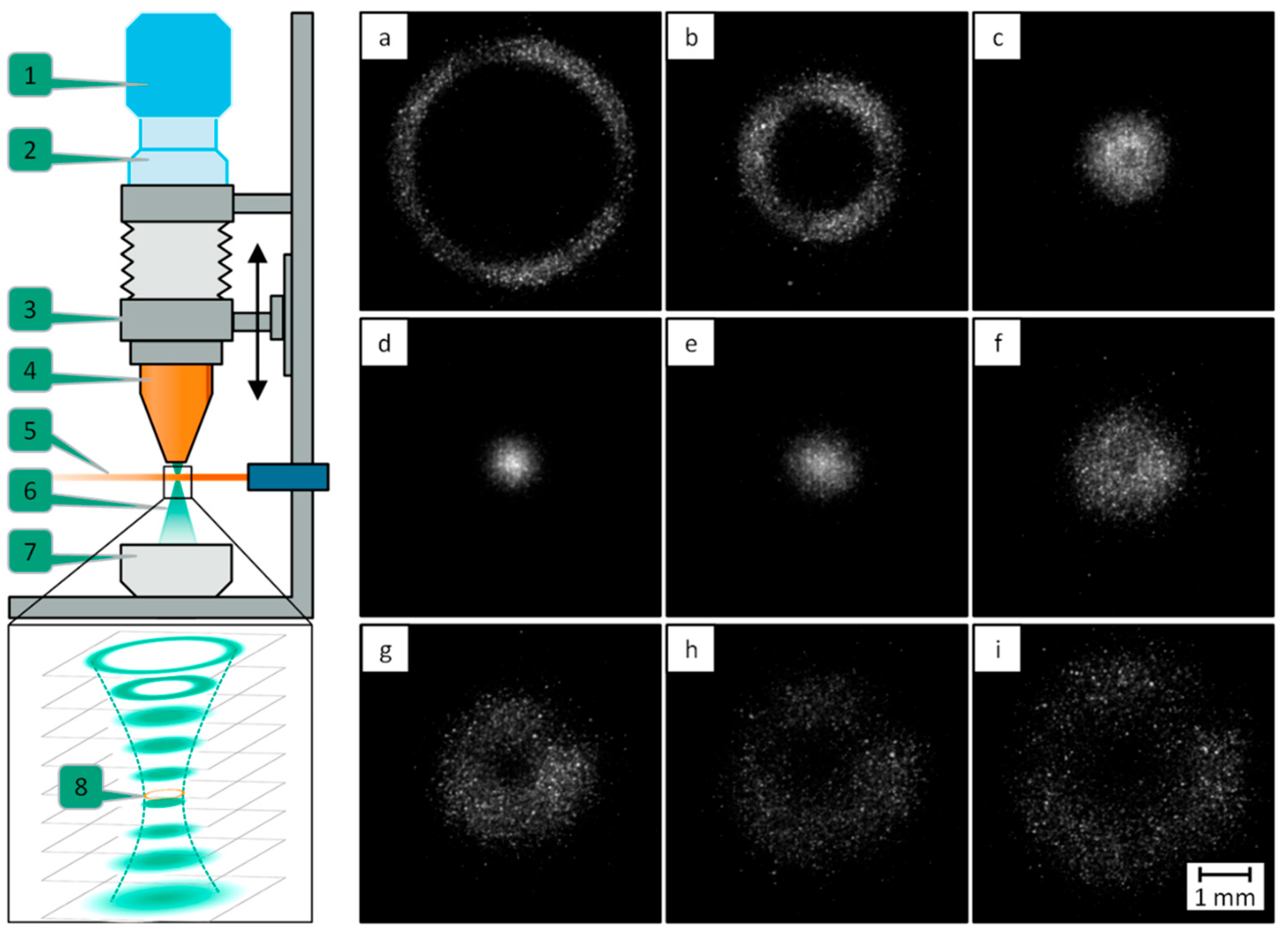 Processes 13 02995 g023 Processes 13 02995 g023