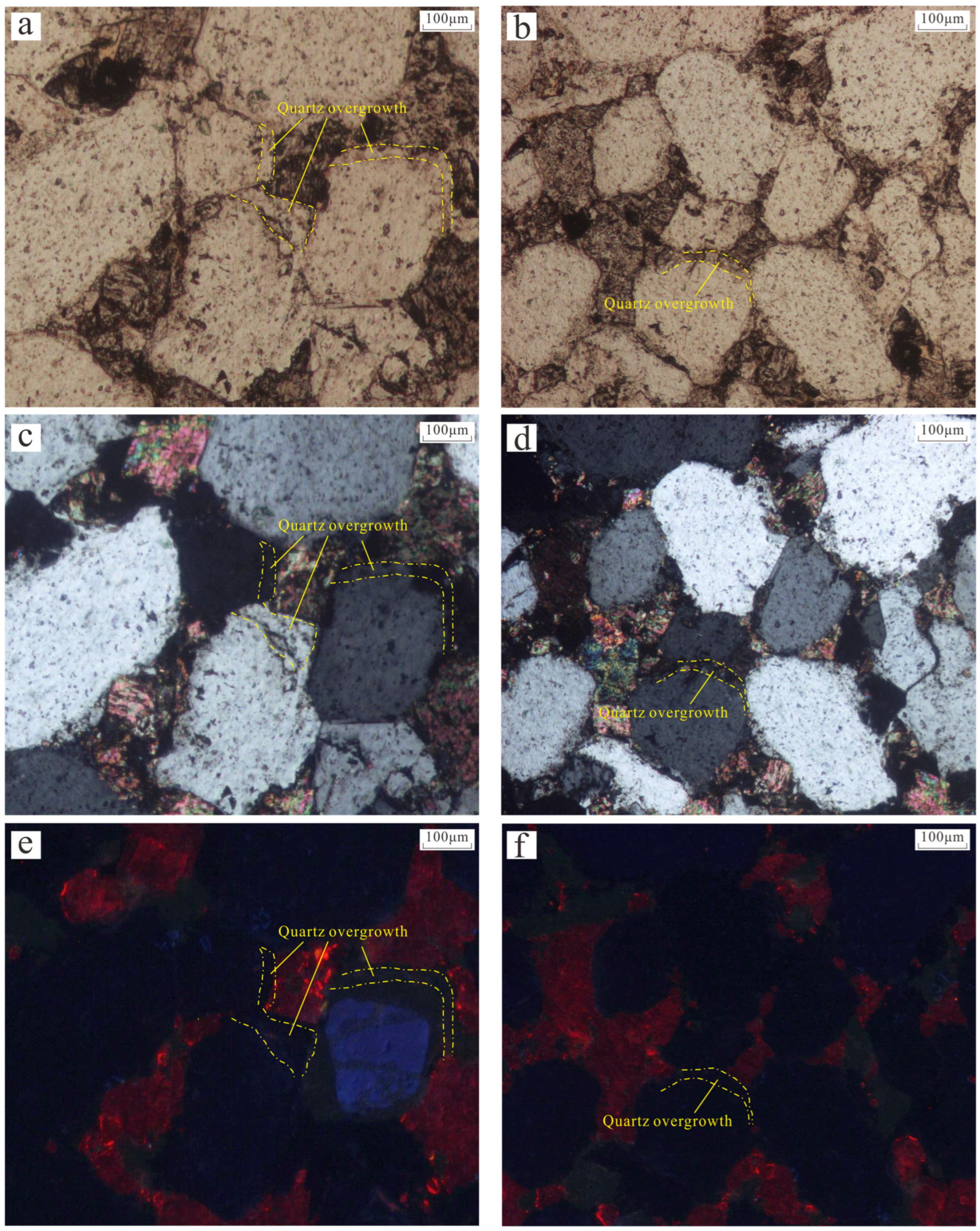 Processes 13 03191 g004 Processes 13 03191 g004