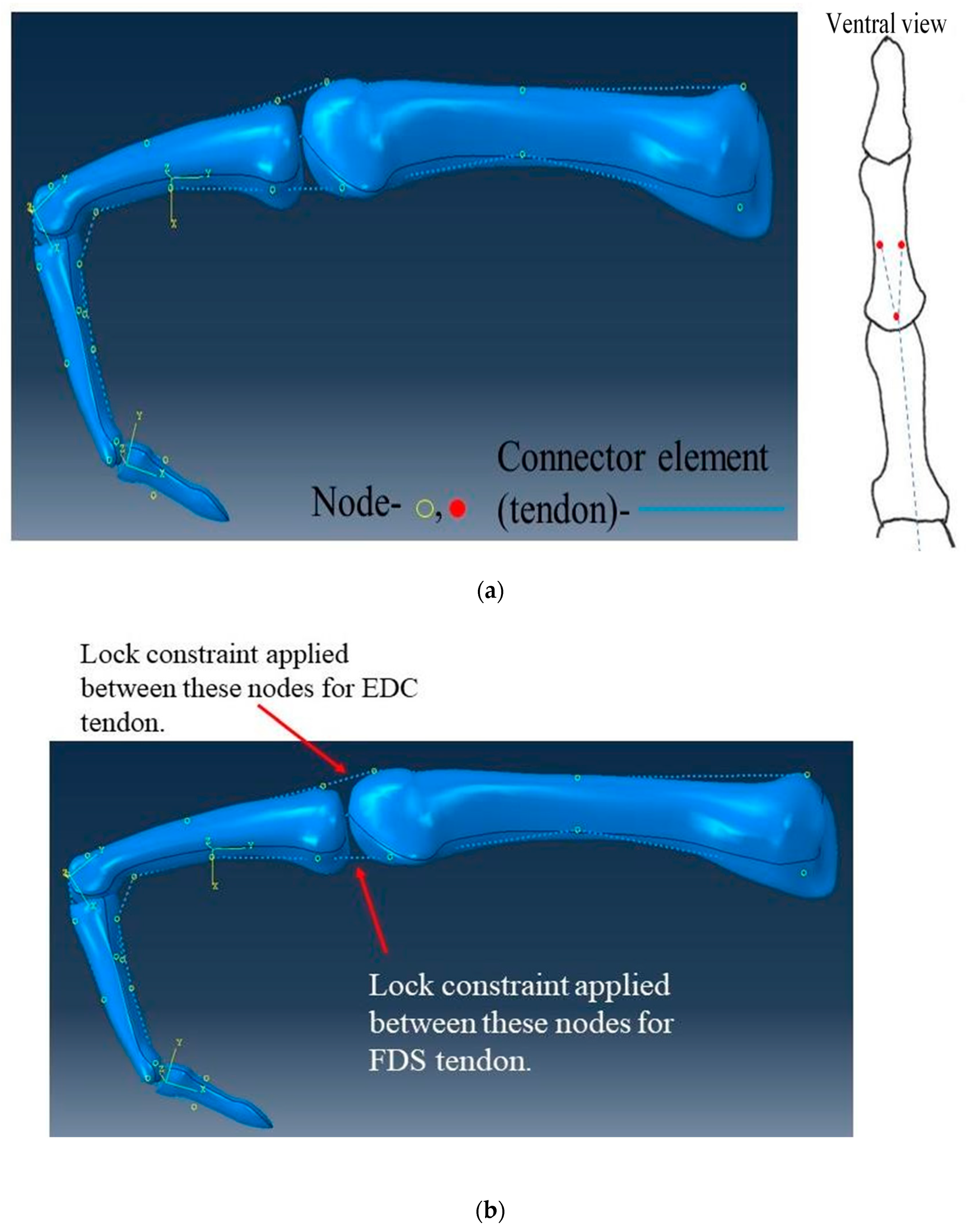 Prosthesis 02 00015 g012
