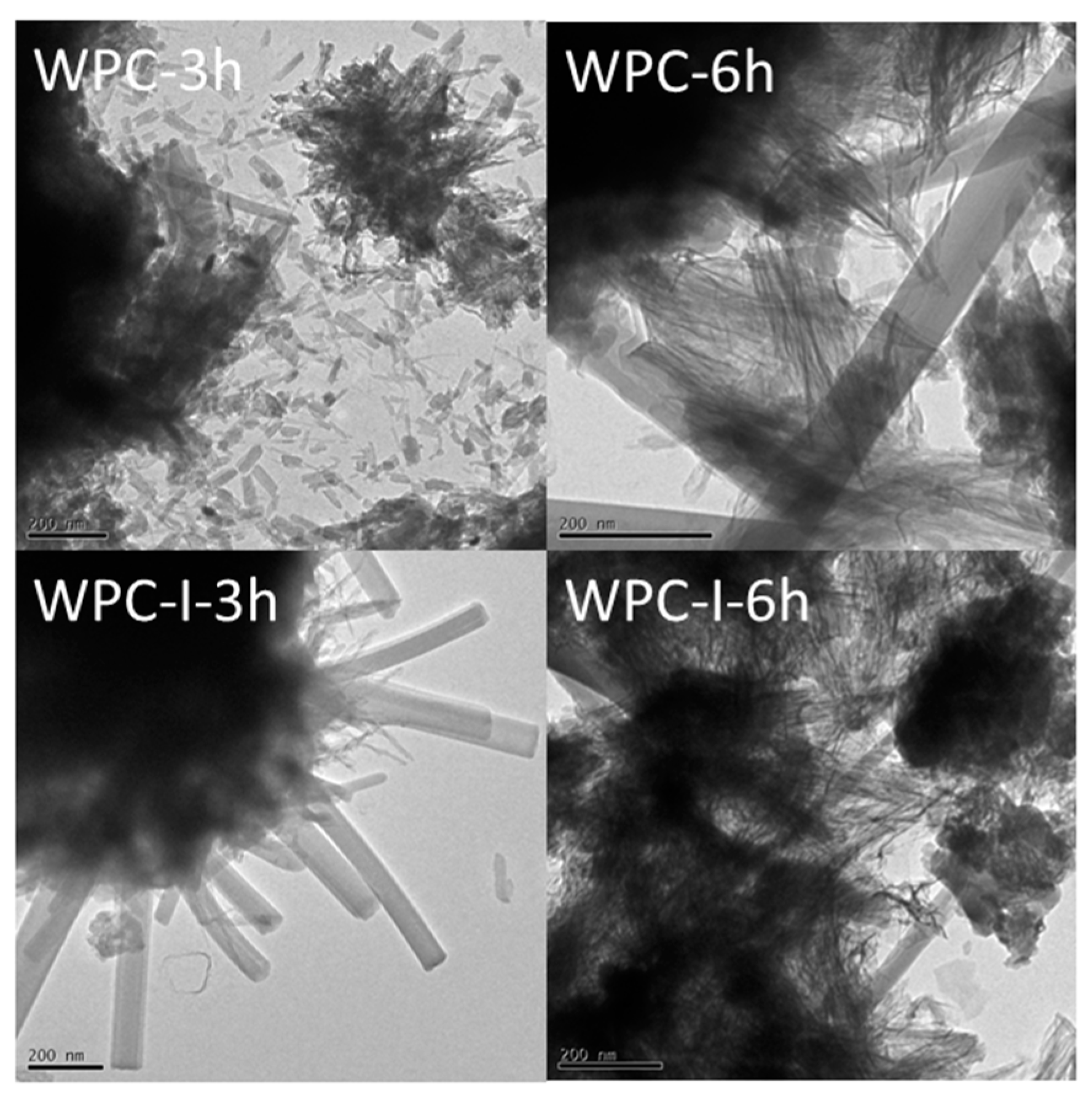 Prosthesis 02 00025 g002 Prosthesis 02 00025 g002