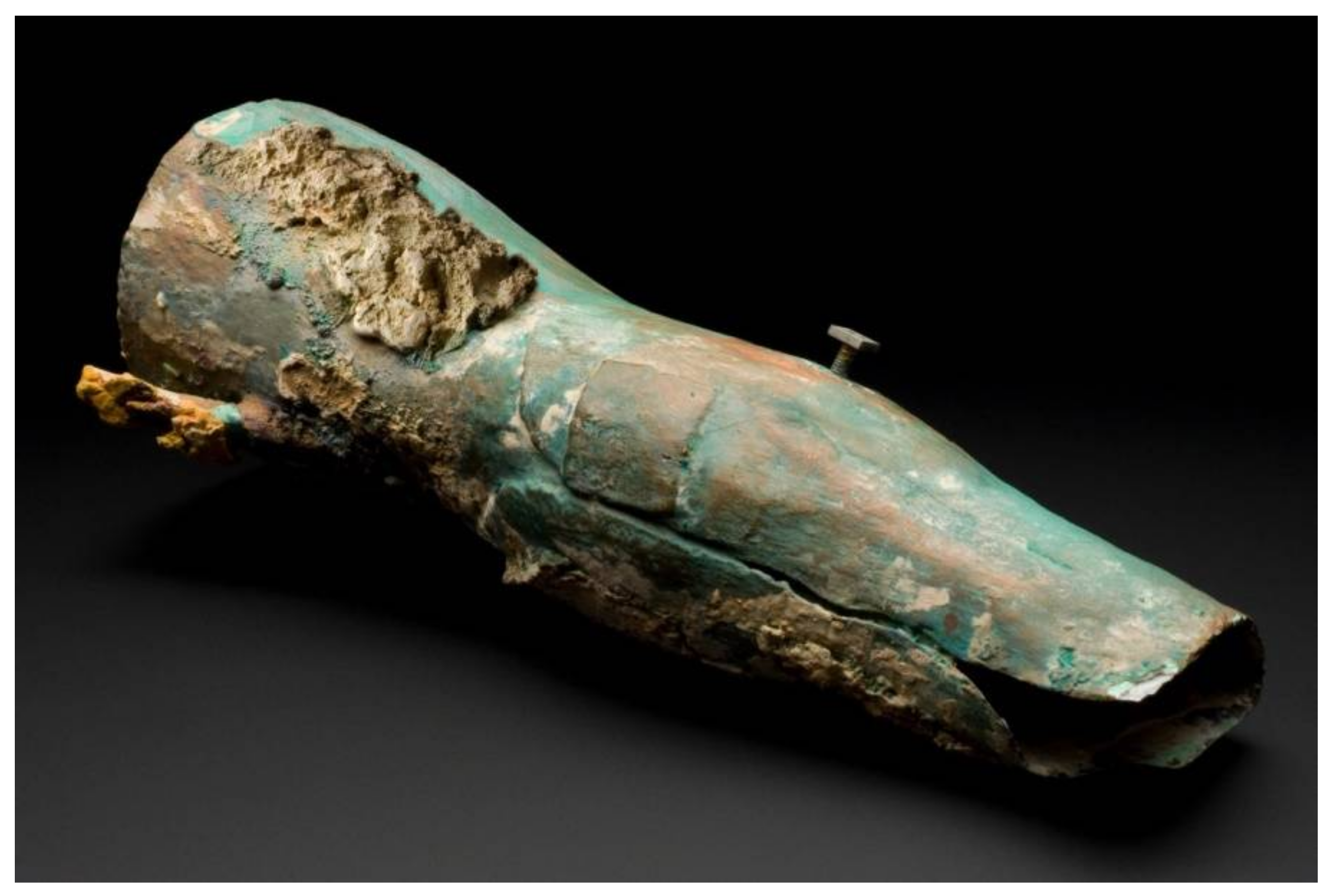 Prosthesis | Free Full-Text | The Ancient Artificial Leg of Capua: First 3D  Print after 2300 Years