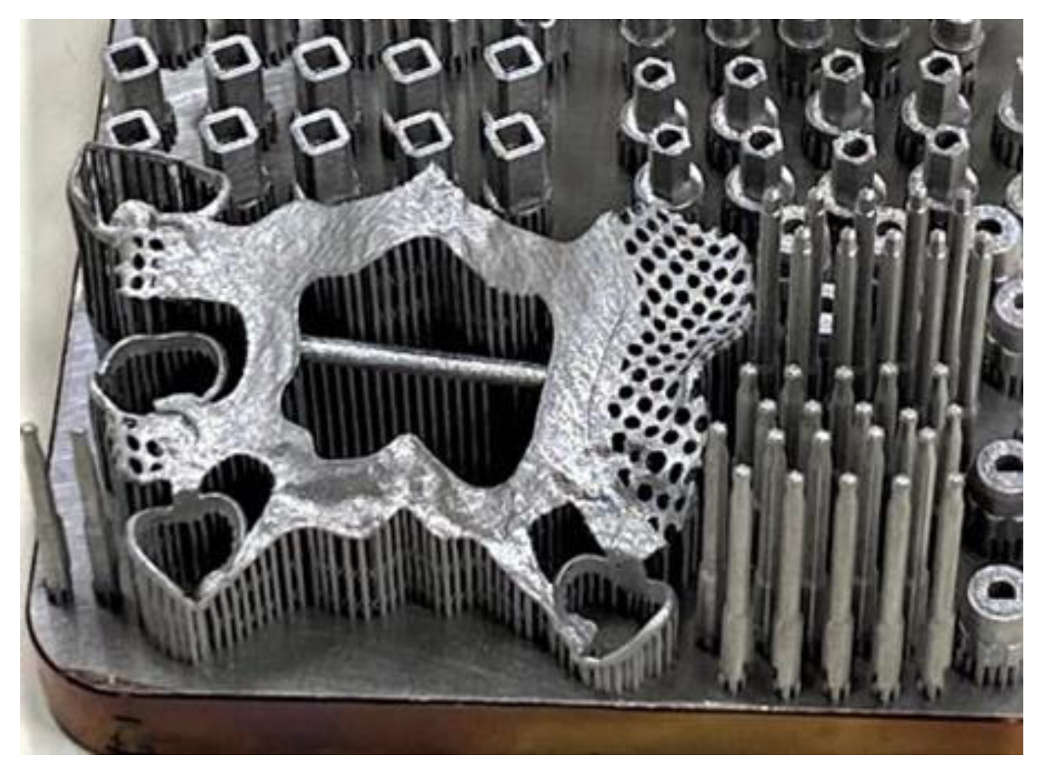 Prosthesis 03 00038 g015