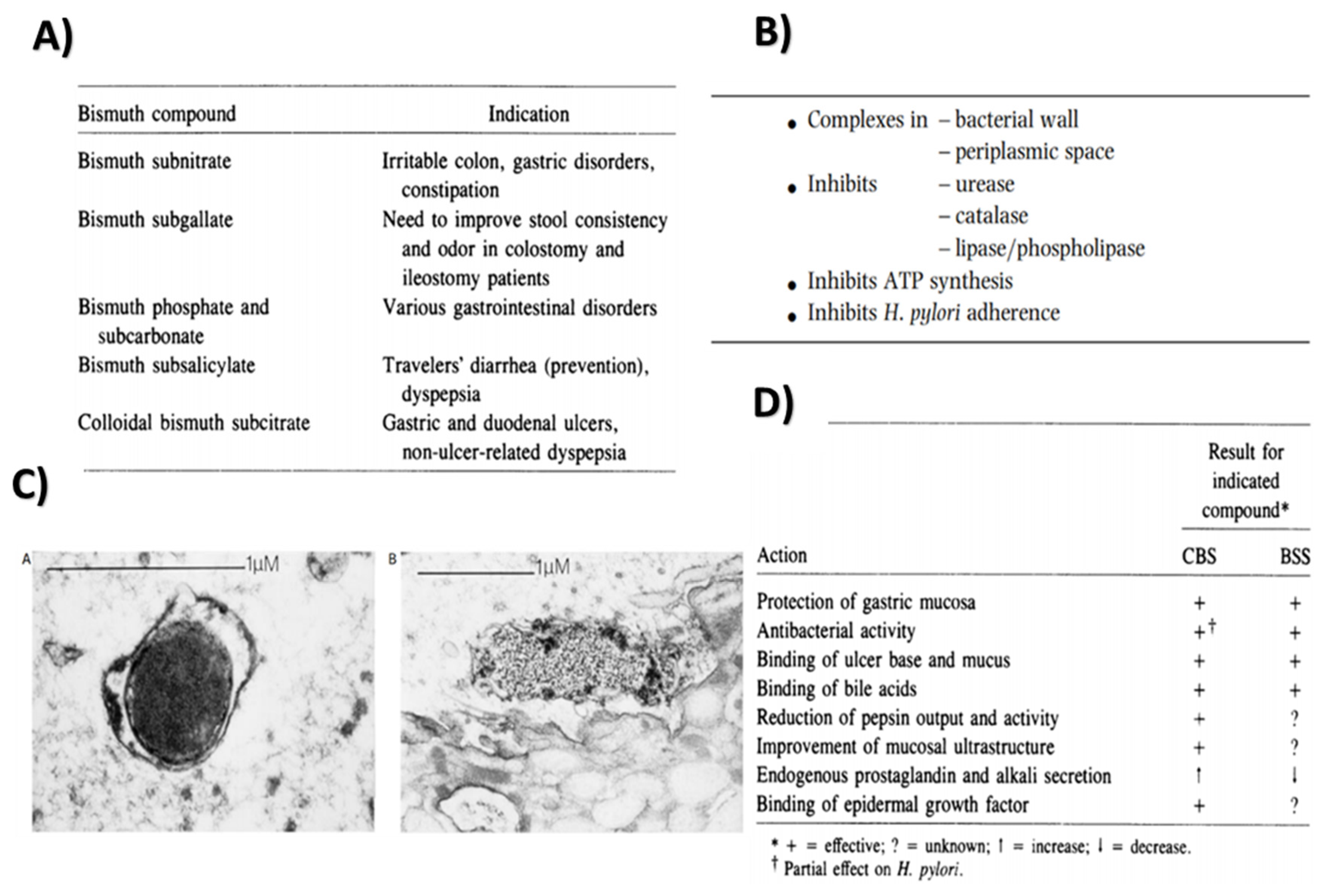 Prosthesis 04 00026 g003