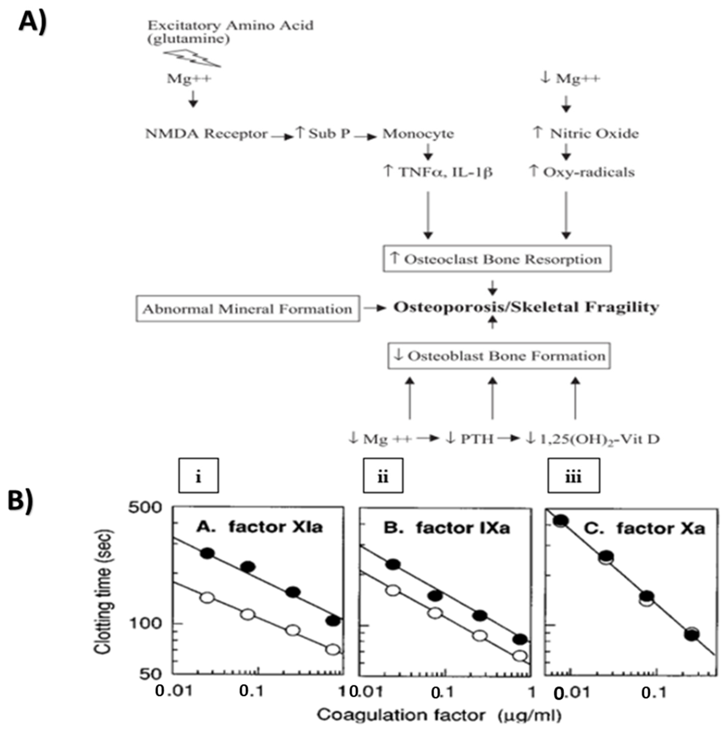Prosthesis 04 00026 g004