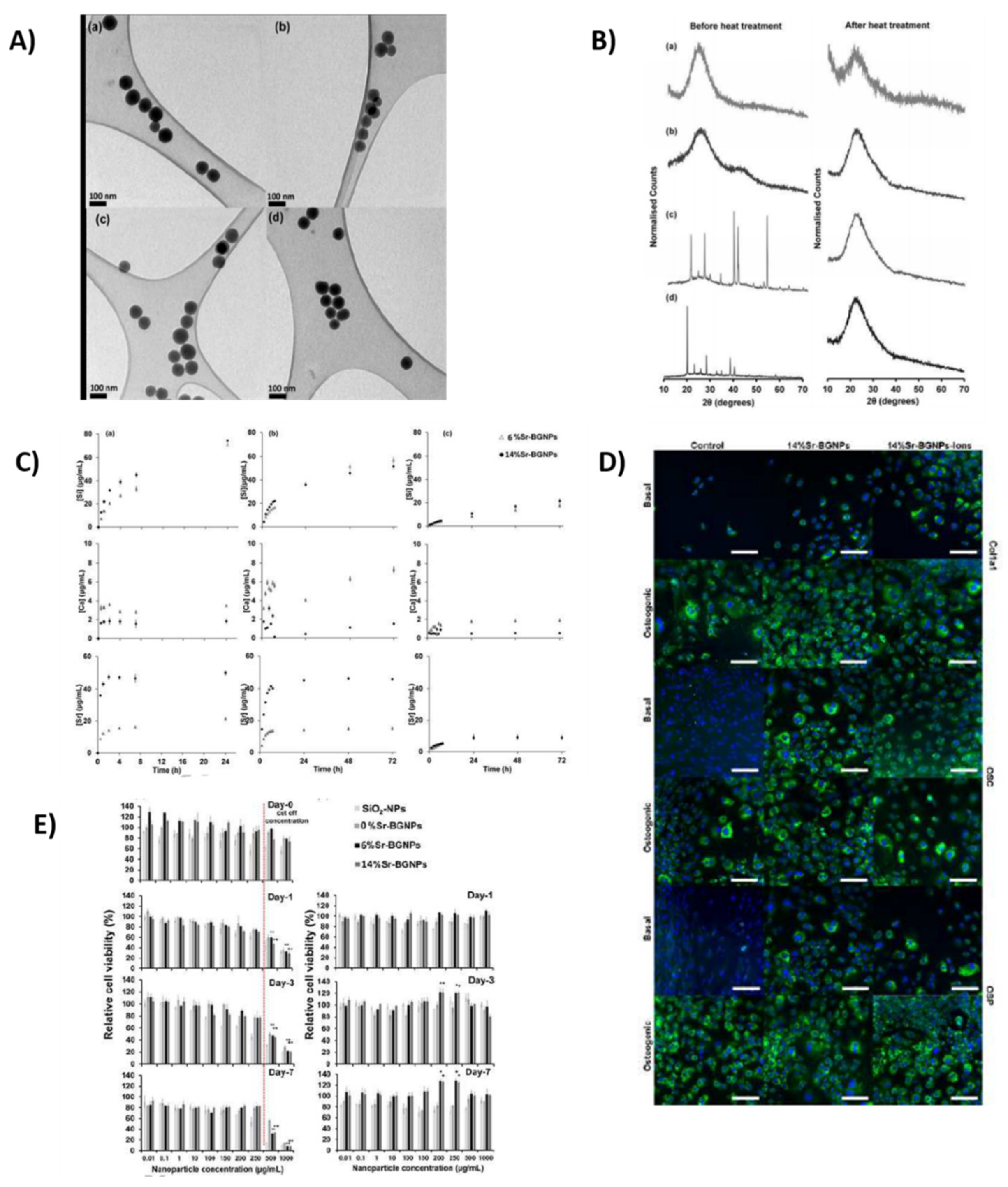 Prosthesis 04 00026 g010