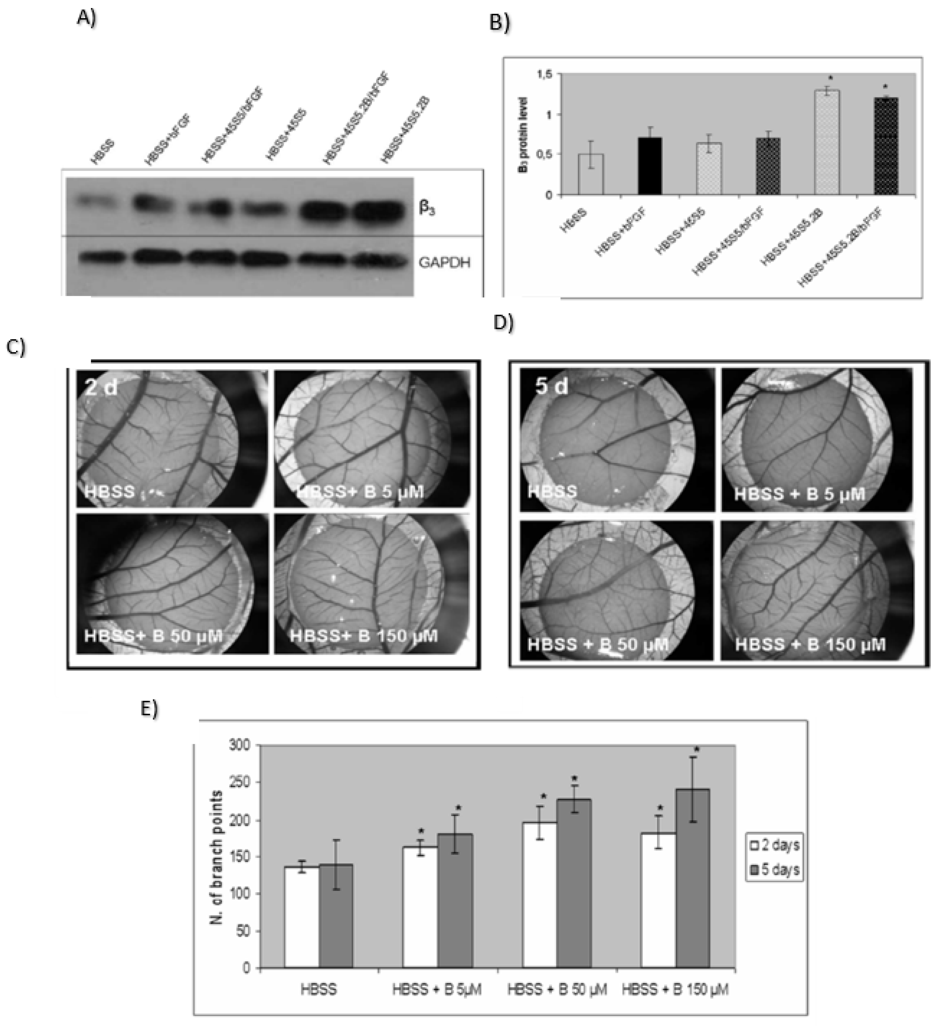 Prosthesis 04 00026 g011