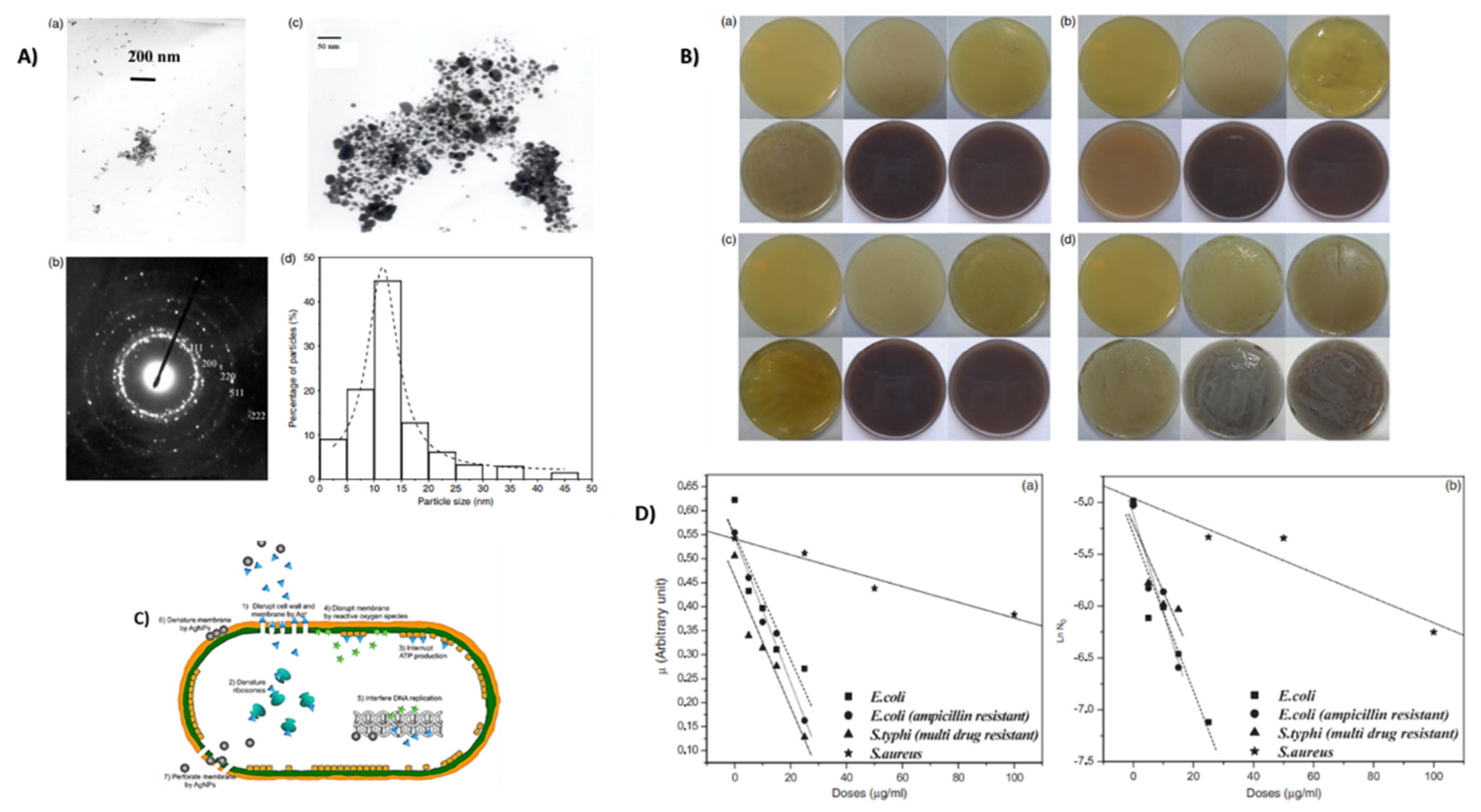 Prosthesis 04 00026 g012