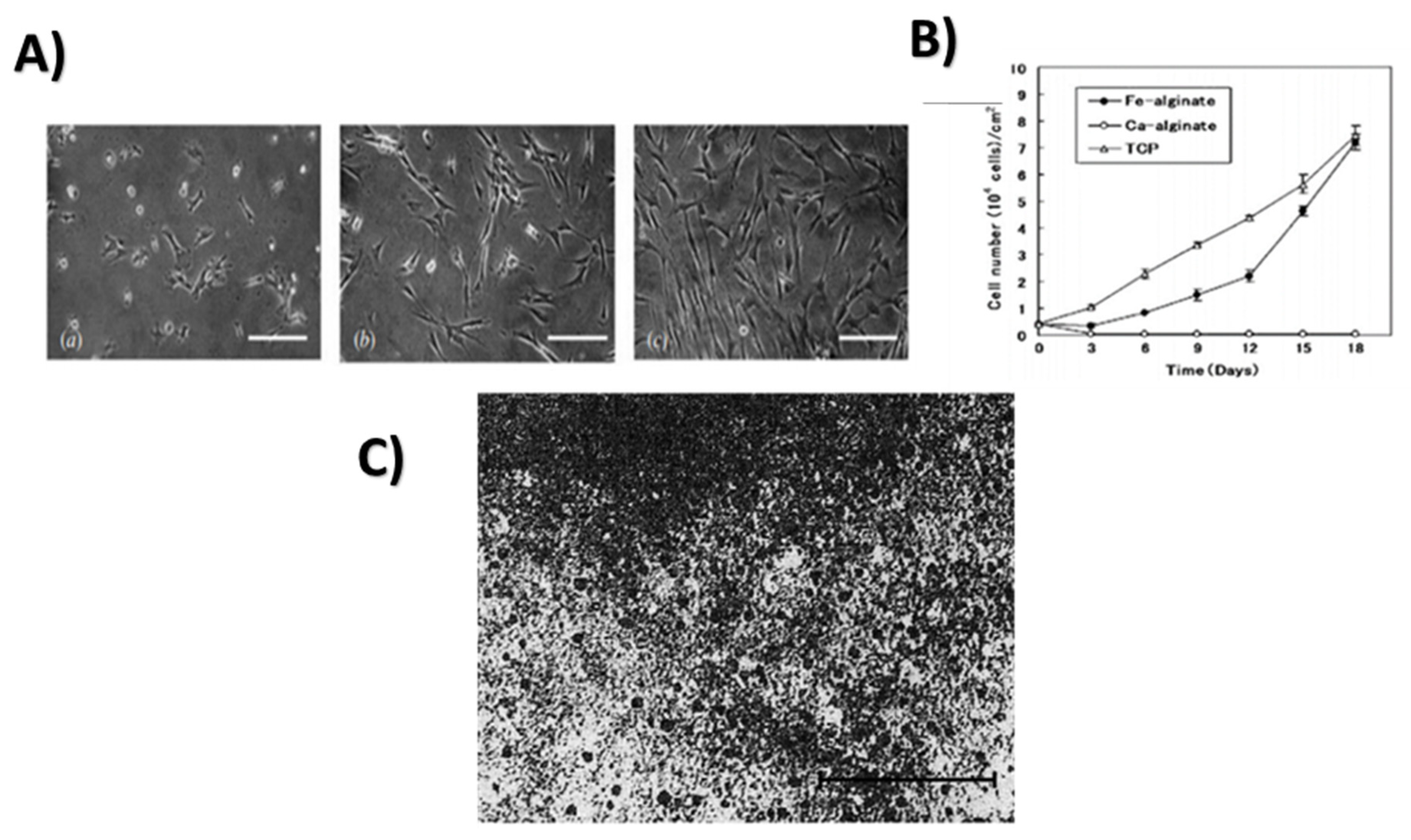 Prosthesis 04 00026 g014
