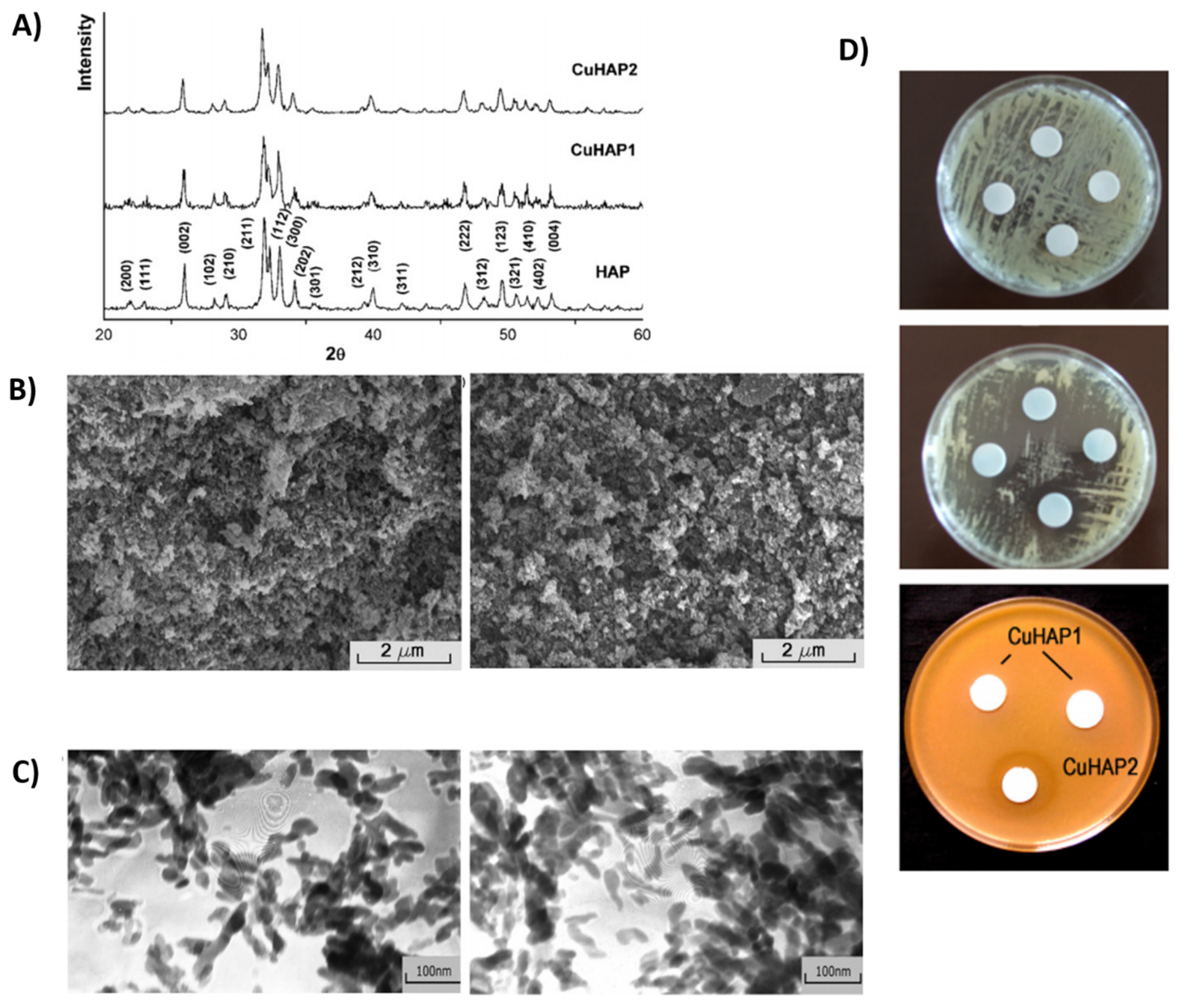 Prosthesis 04 00026 g016